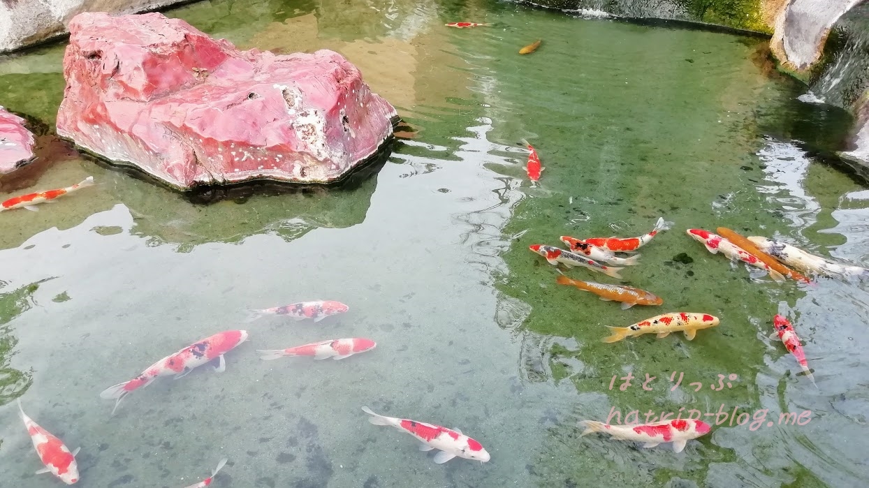 石和温泉 薬石の湯 瑰泉 湯快の森