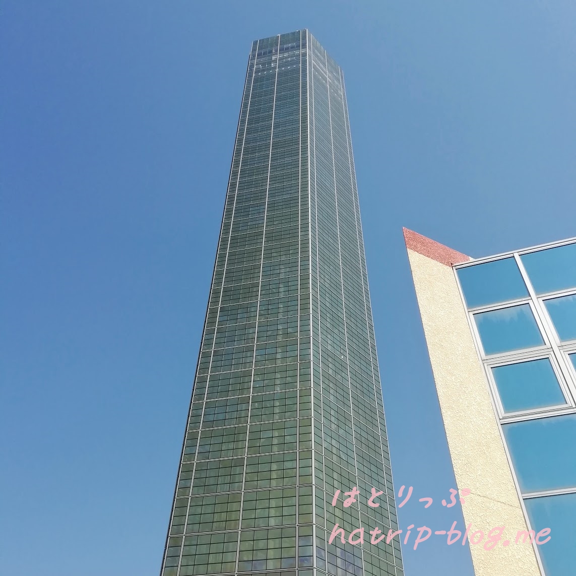 香川 宇多津 プレイパークゴールドタワー