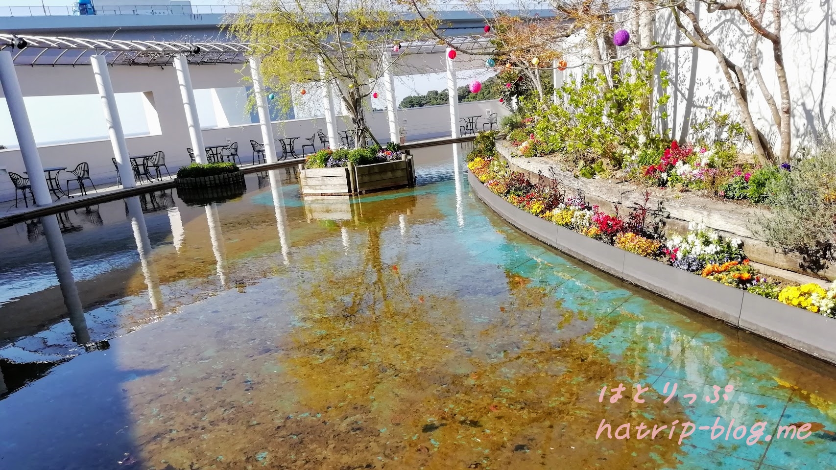 大塚国際美術館 モネの大睡蓮 モネの庭 モネの池