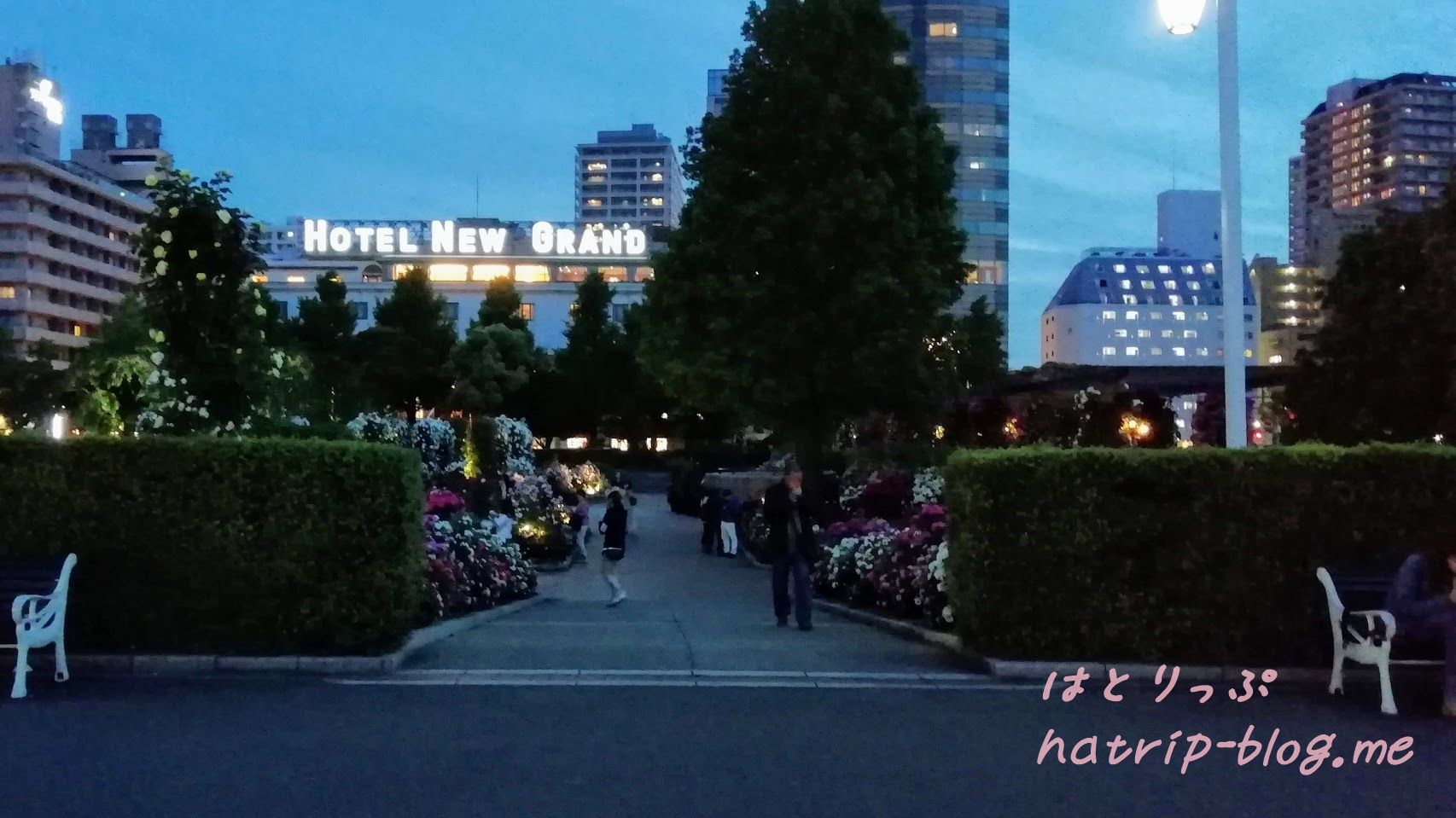 横浜 山下公園 未来のバラ園