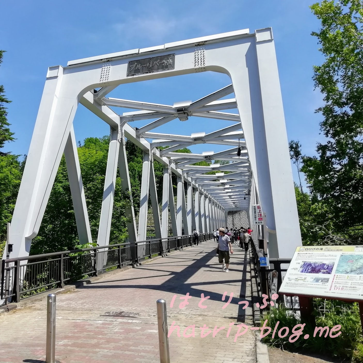 北海道 美瑛町 白ひげの滝 ブルーリバー橋