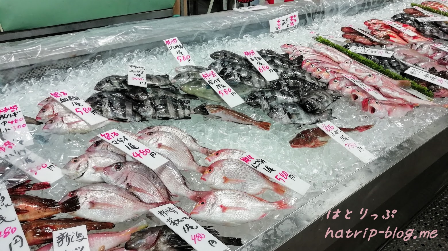 新潟県上越市 道の駅 うみてらす名立 食彩鮮魚市場