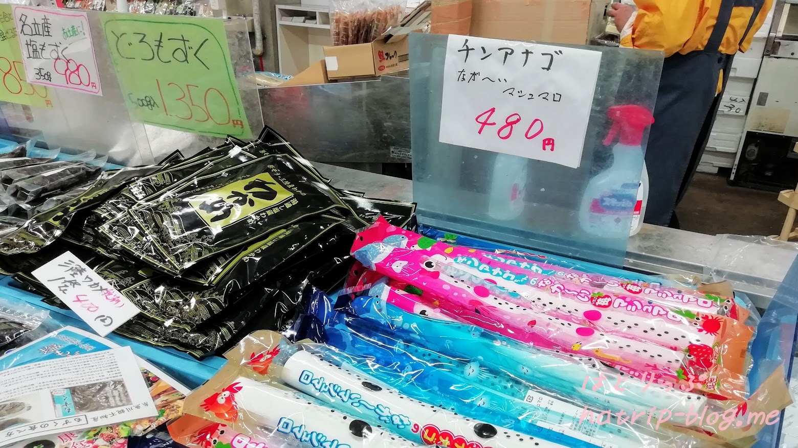 新潟県上越市 道の駅 うみてらす名立 食彩鮮魚市場 チンアナゴ