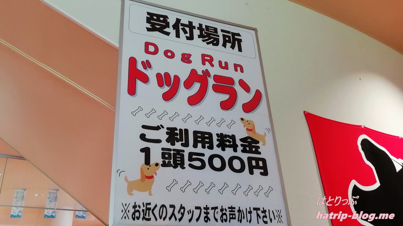 石川県七尾市 道の駅 のとじま交流市場 ドッグラン