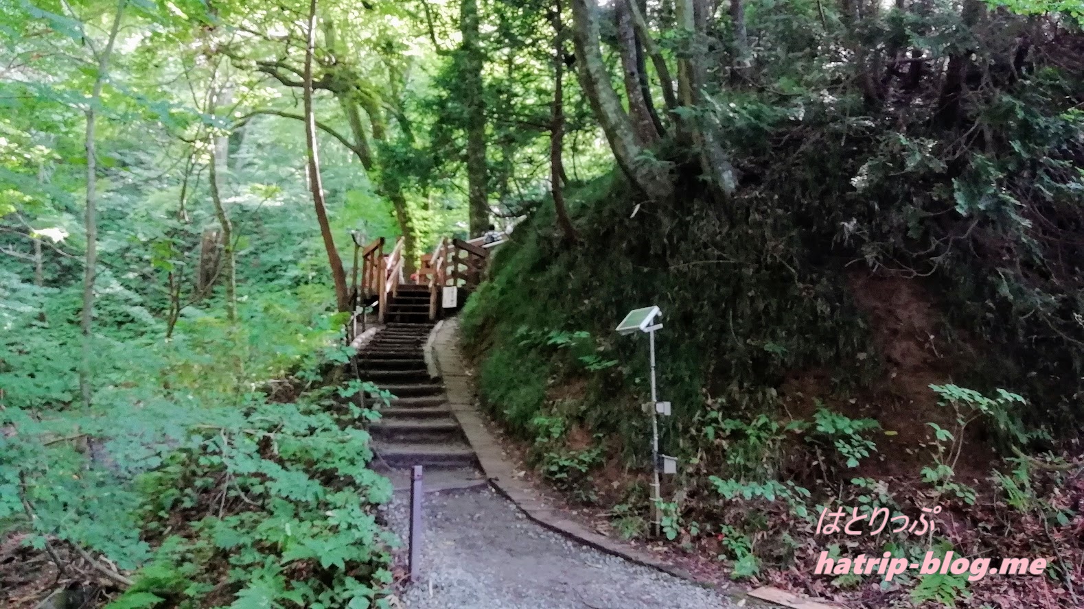 青森県西津軽郡 白神山地 十二湖 青池 散策コース