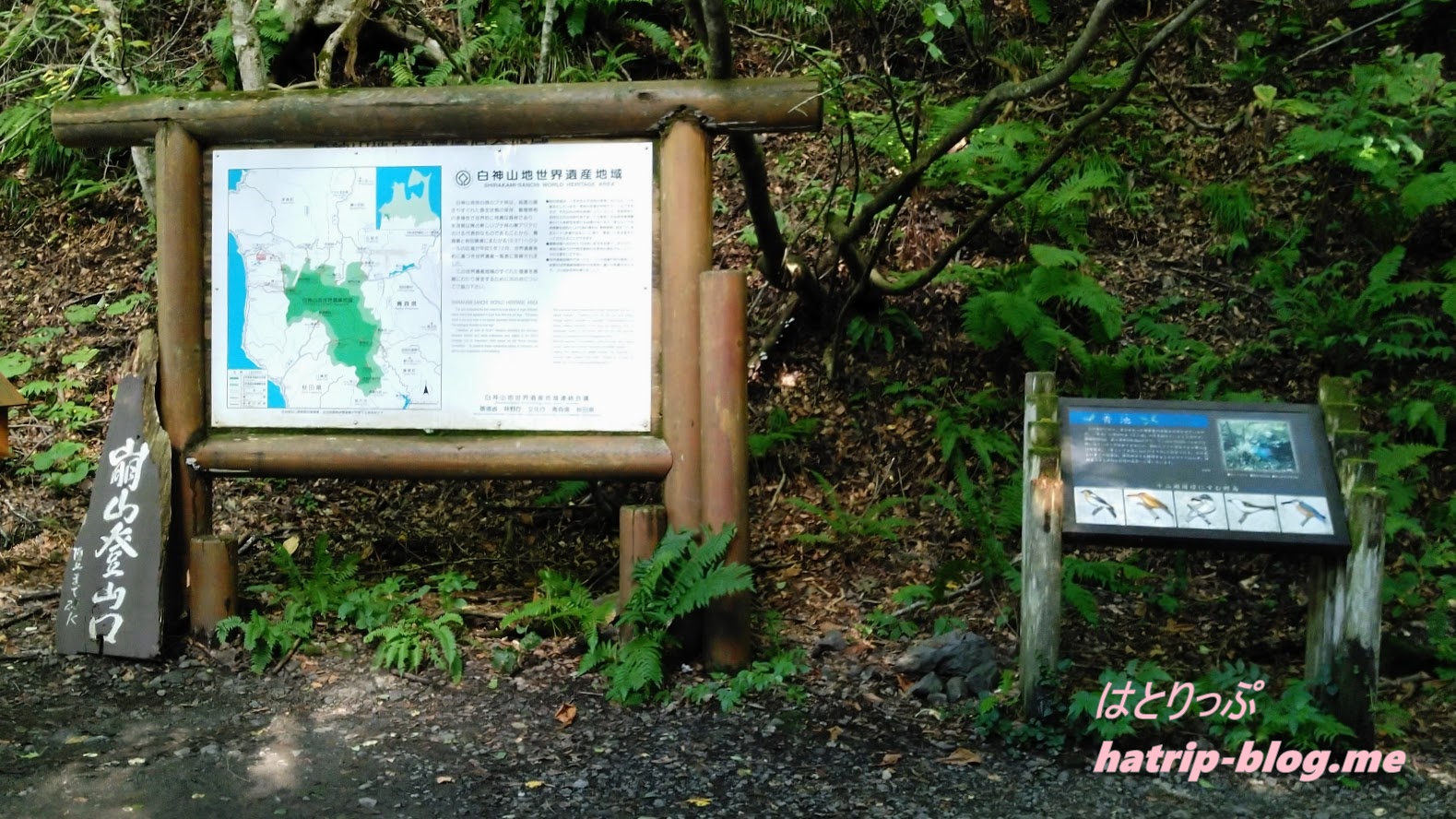 青森県西津軽郡 白神山地 十二湖 青池 散策コース