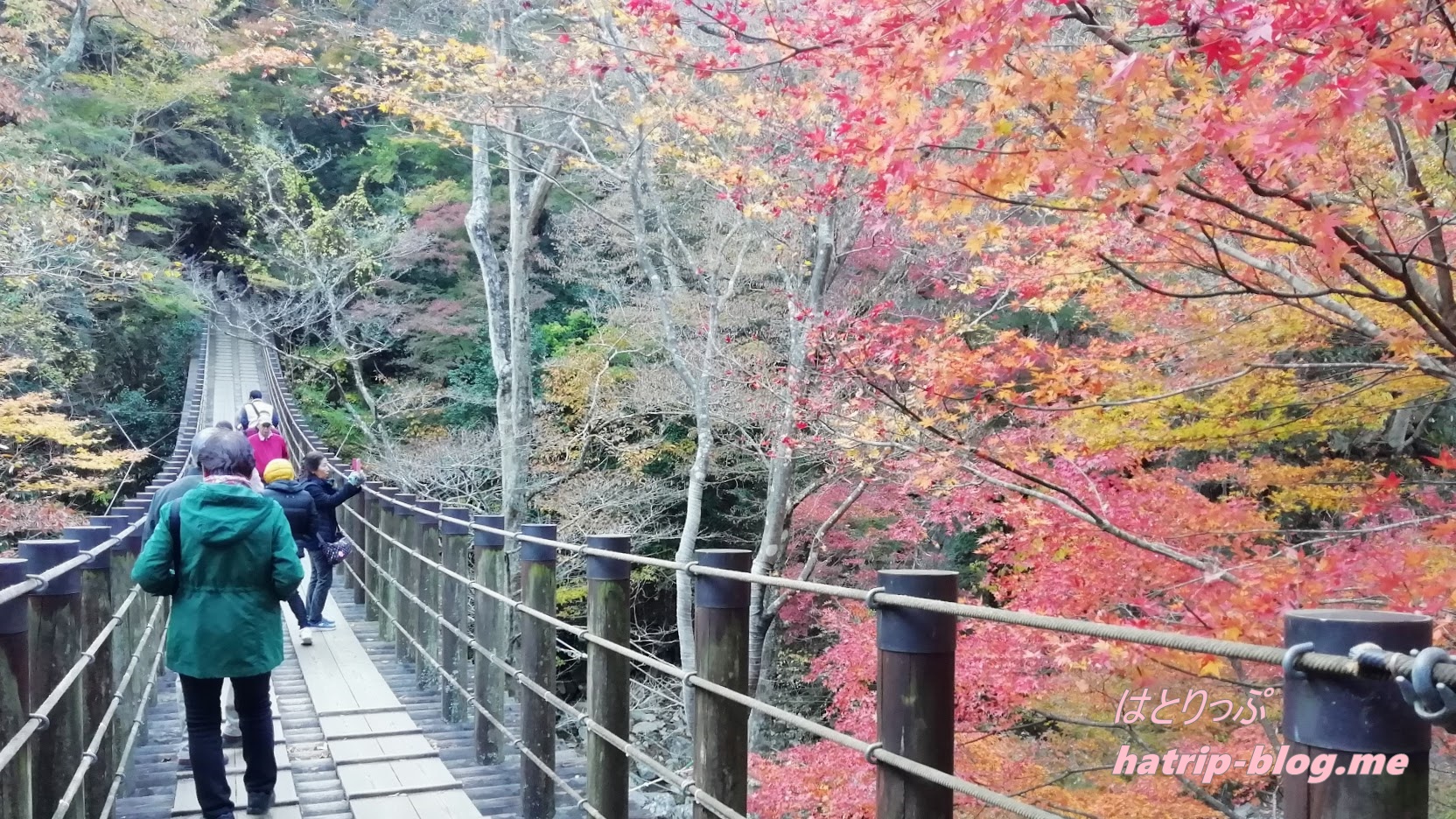 茨城県高萩市 花貫渓谷 の紅葉祭りで見頃時期の紅葉 汐見滝吊り橋 まで散策も アクセス 行き方 駐車場など Hatrip はとりっぷ