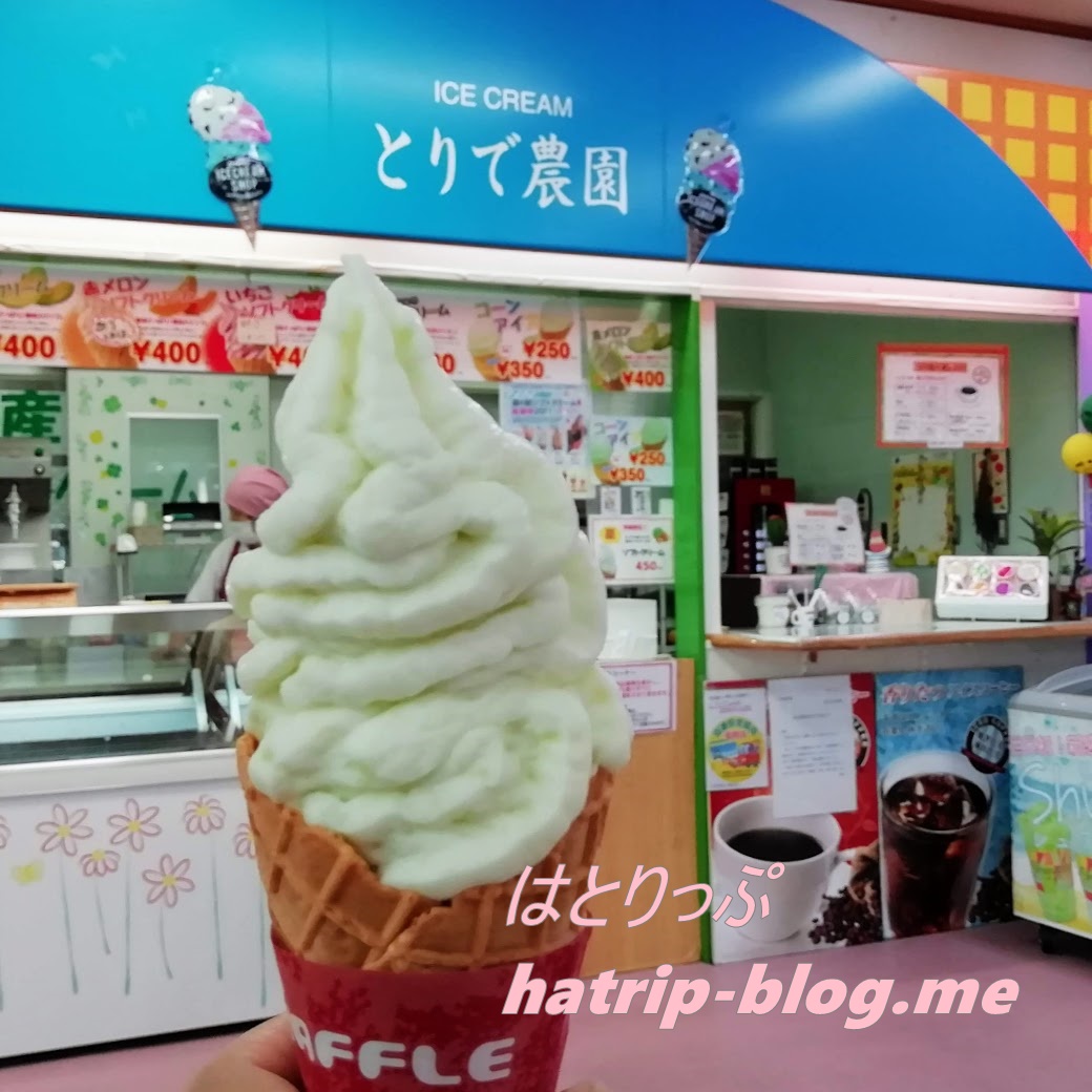 熊本県菊池市 道の駅 七城メロンドーム とりで農園 メロンソフトクリーム