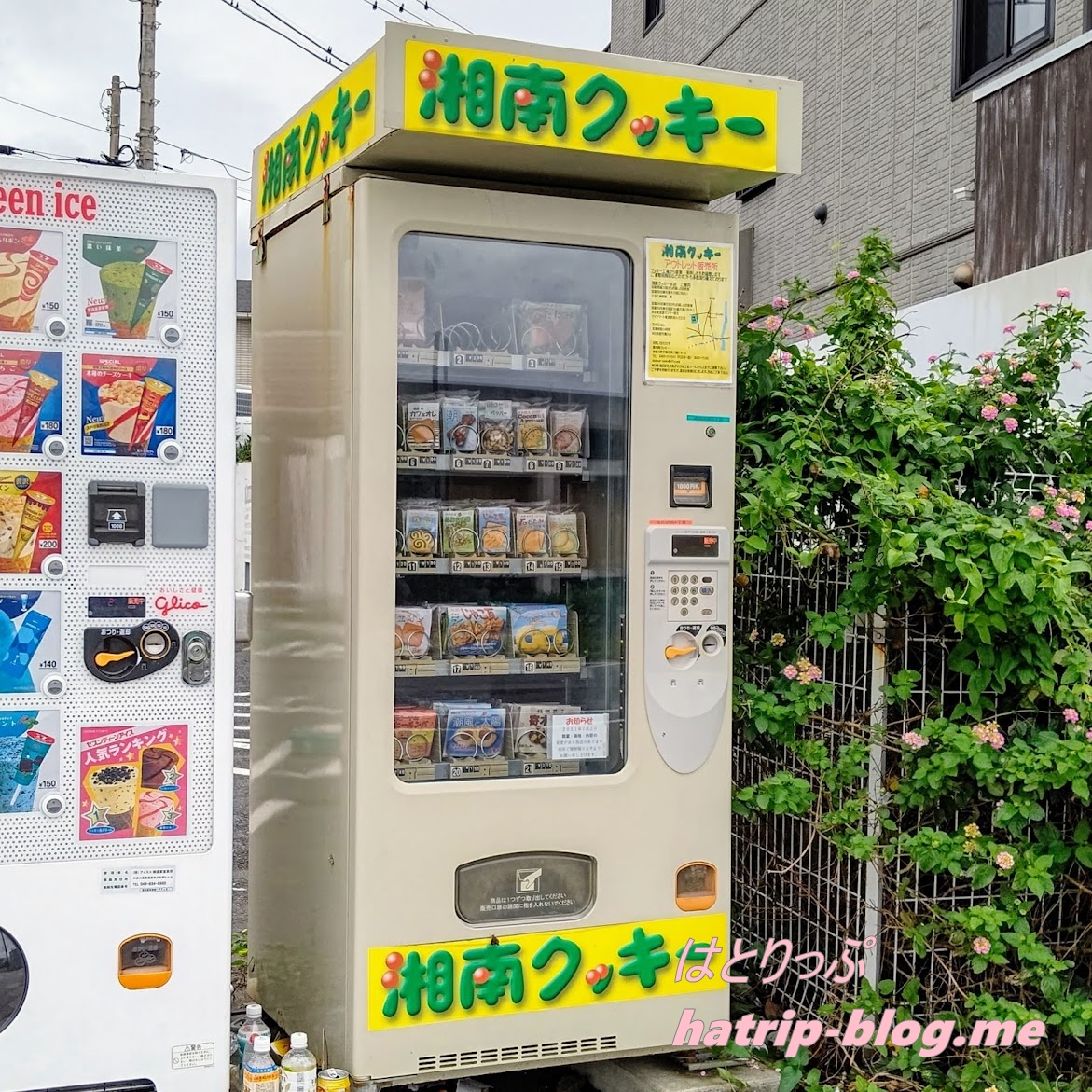 神奈川県鎌倉市 材木座ワーケーション 湘南クッキー 自動販売機