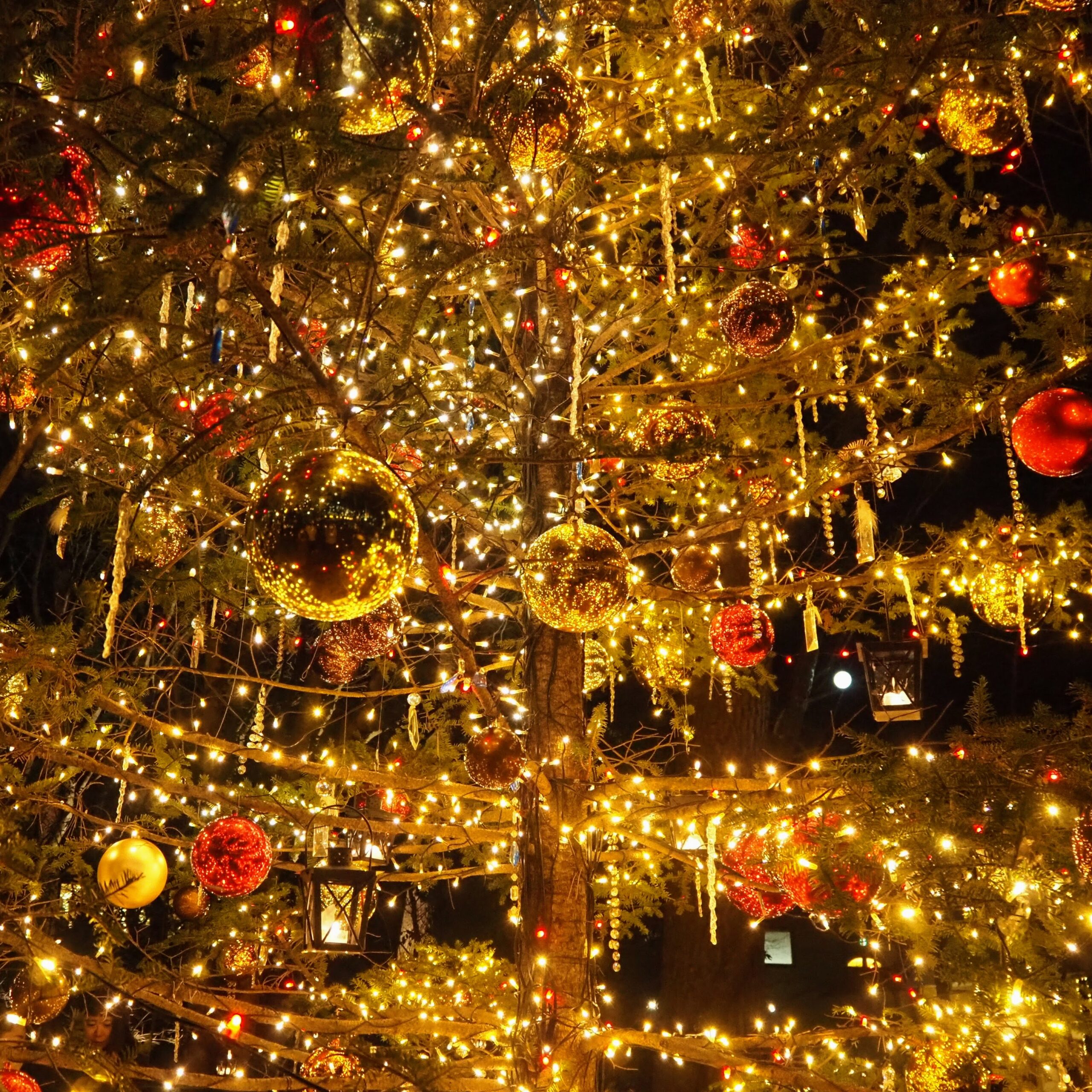 軽井沢高原教会 星降る森のクリスマス 2021 クリスマスツリー オーナメント