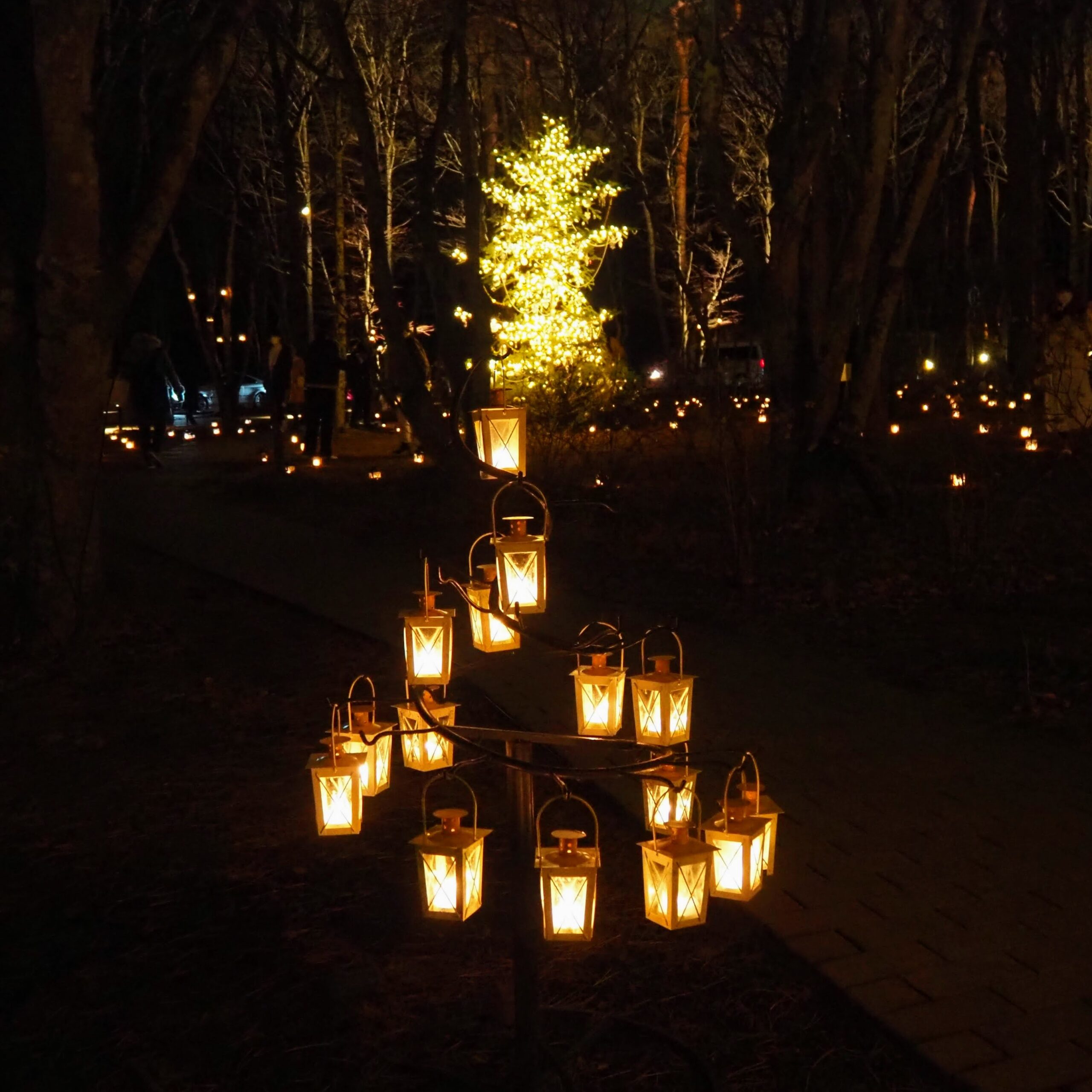 軽井沢高原教会 星降る森のクリスマス 2021 キャンドル