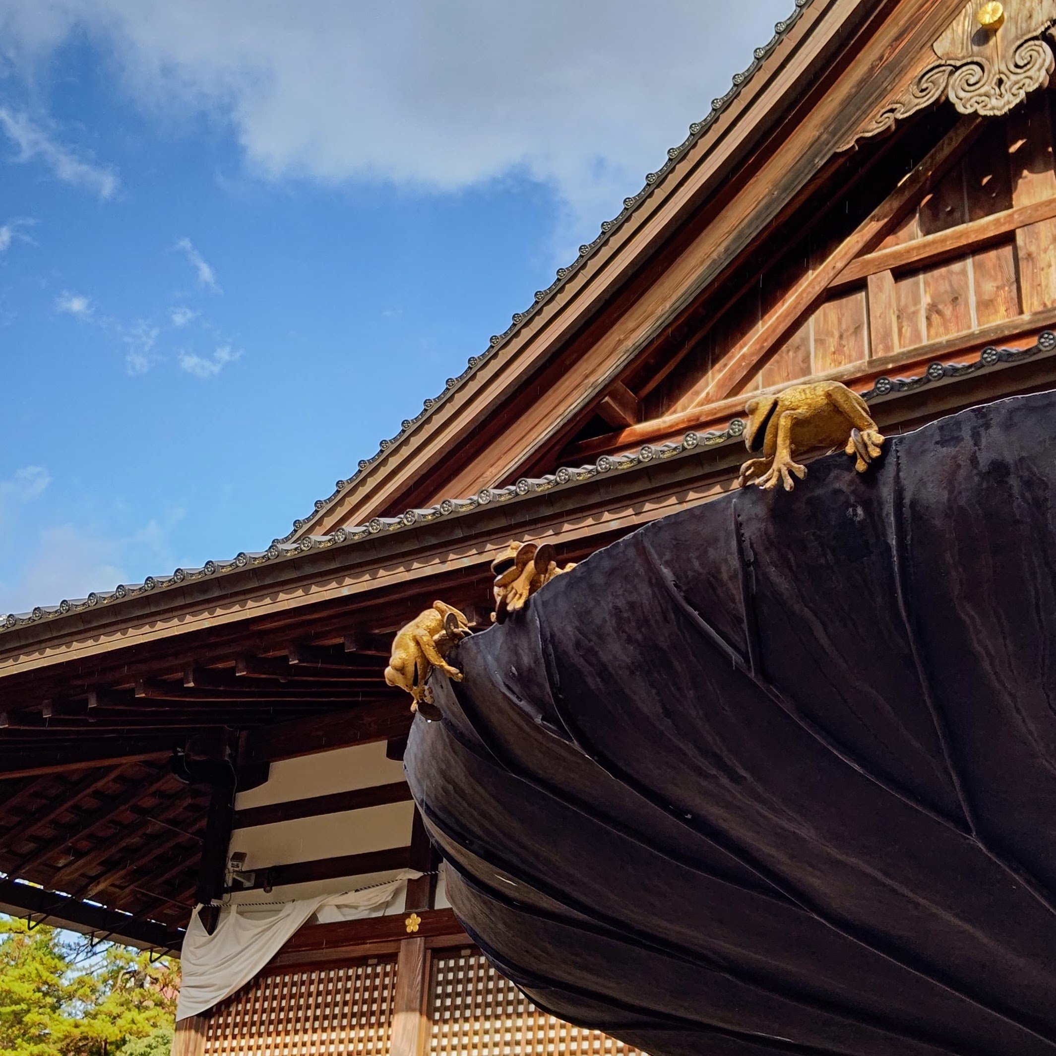 石川県金沢市 尾山神社 金のカエル