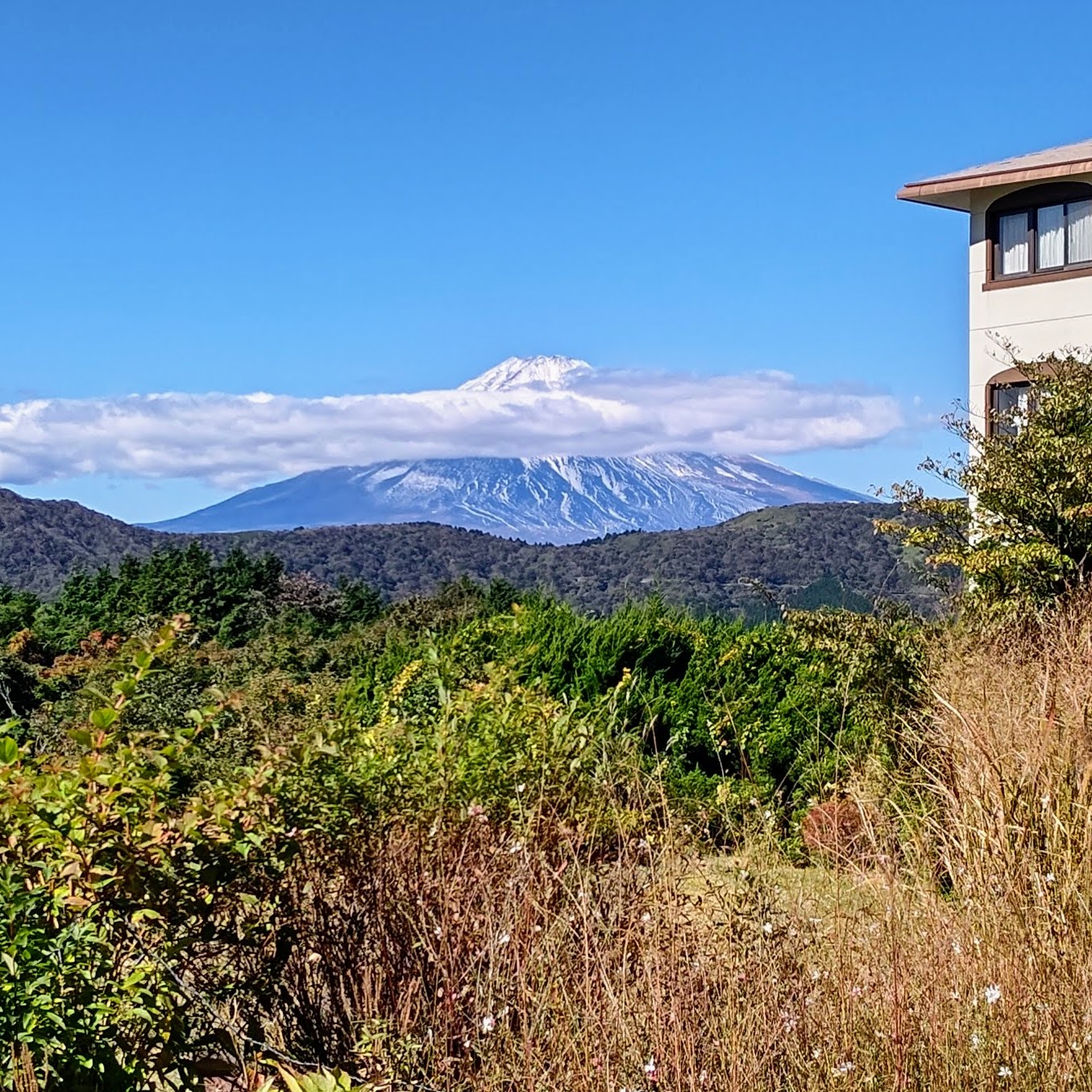 神奈川県足柄下郡 ホテルグリーンプラザ箱根 富士山