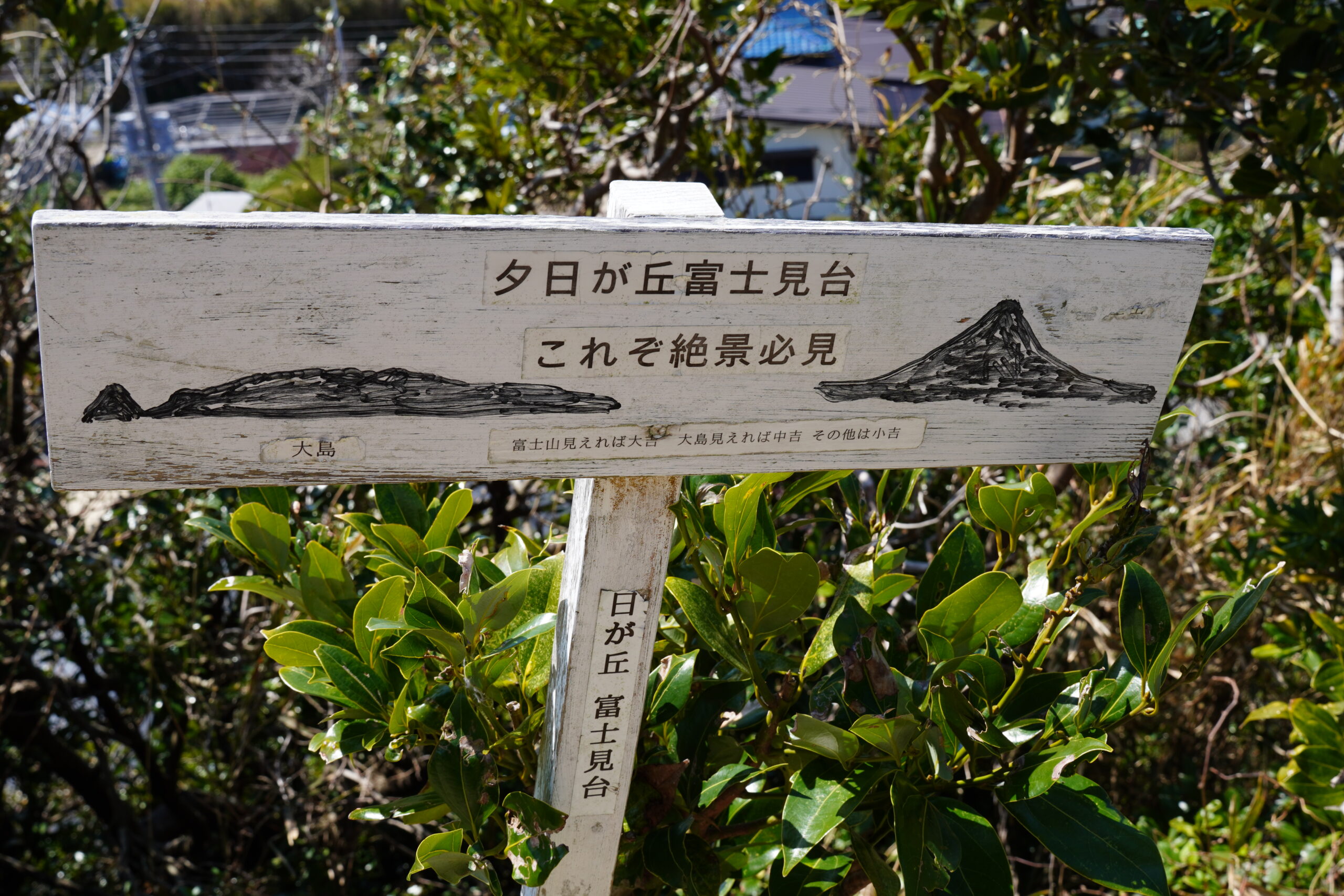 千葉県館山市 洲埼灯台 帝釈天参拝道