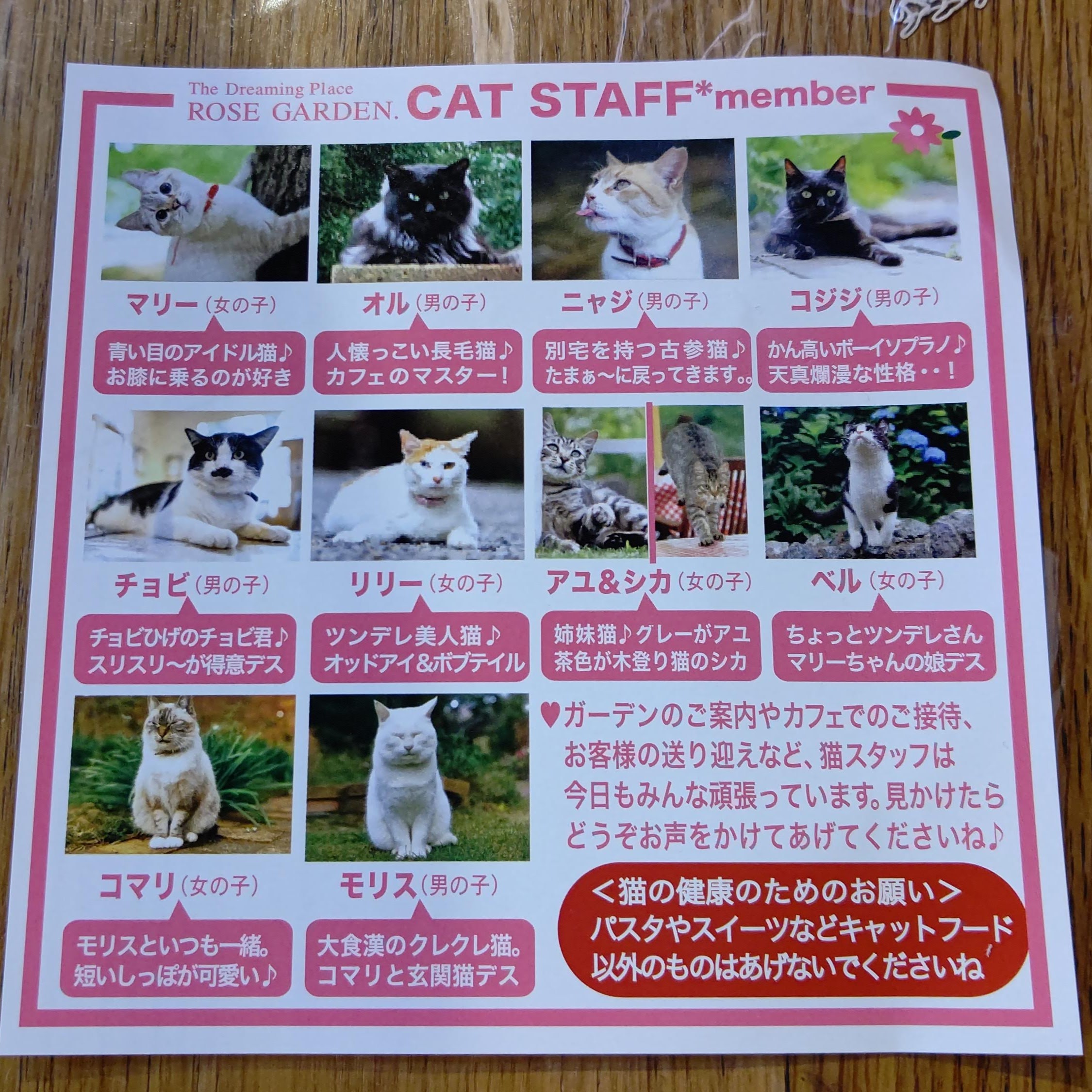 千葉県君津市 ドリプレ・ローズガーデン 猫 キャットスタッフ