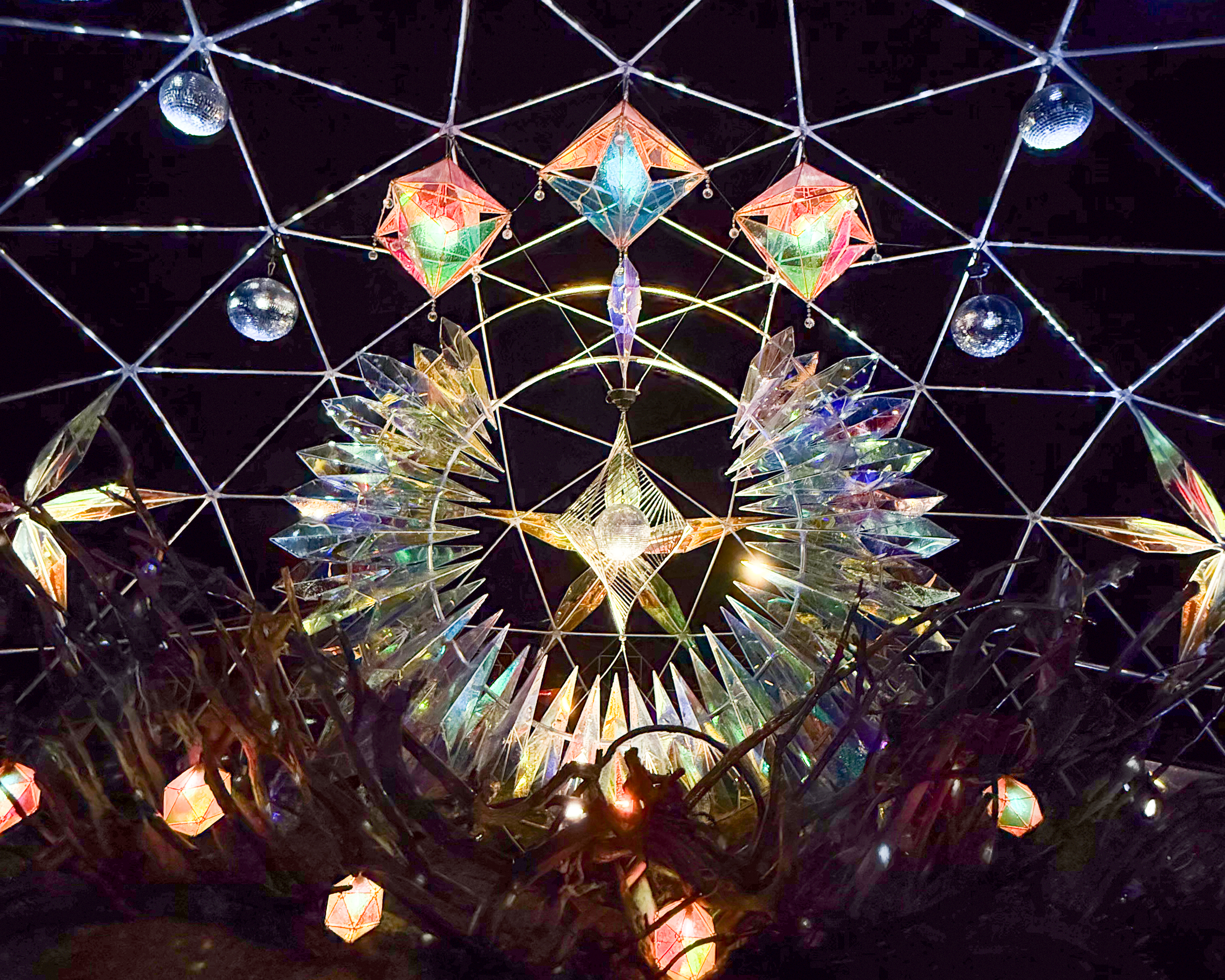 水と光のナイトガーデン 2025