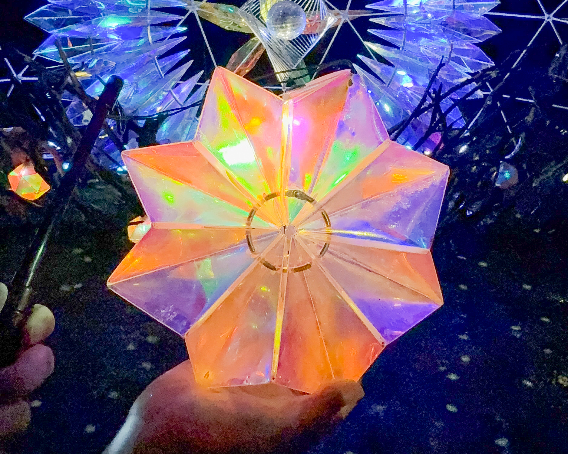 水と光のナイトガーデン 2025