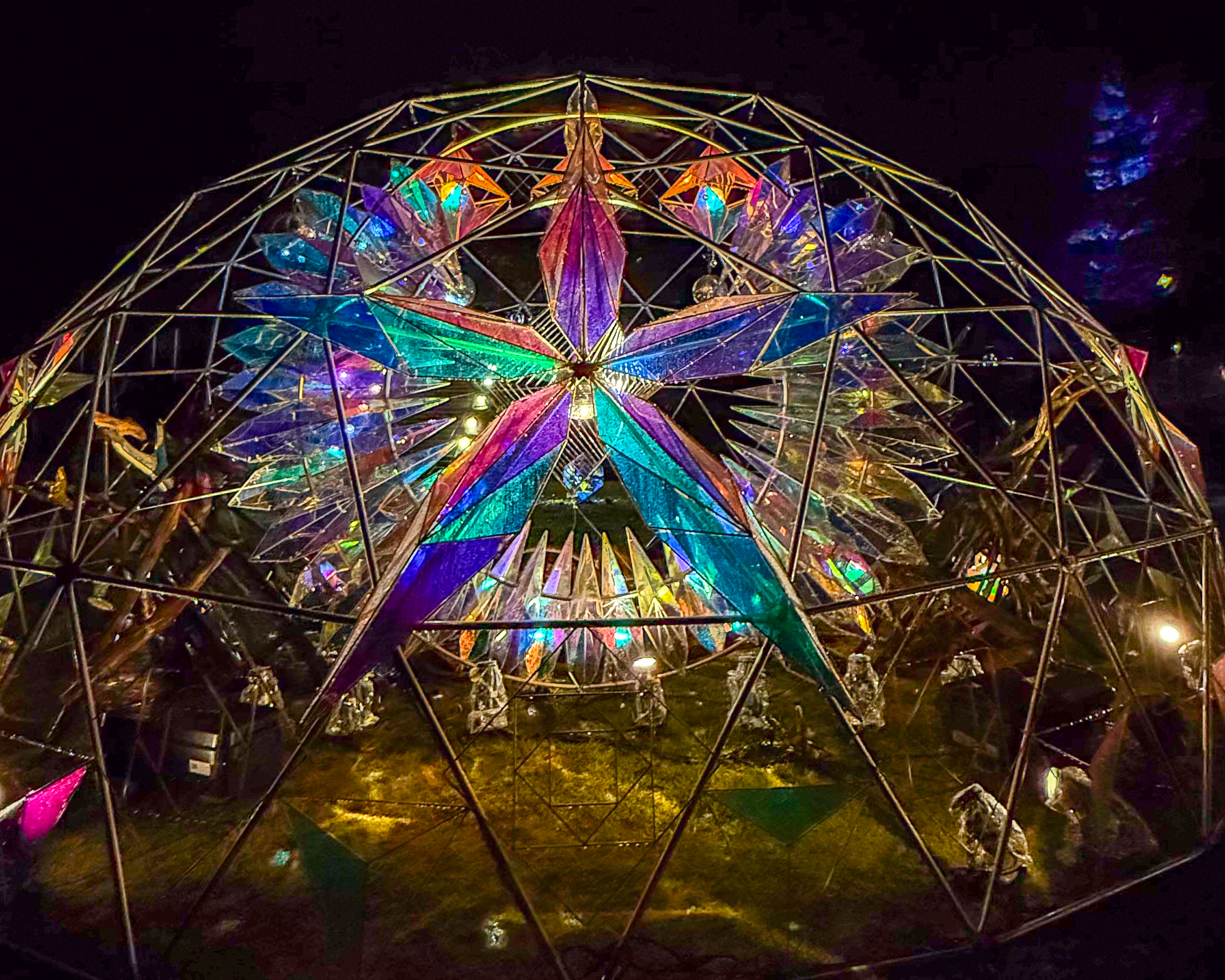 水と光のナイトガーデン 2025