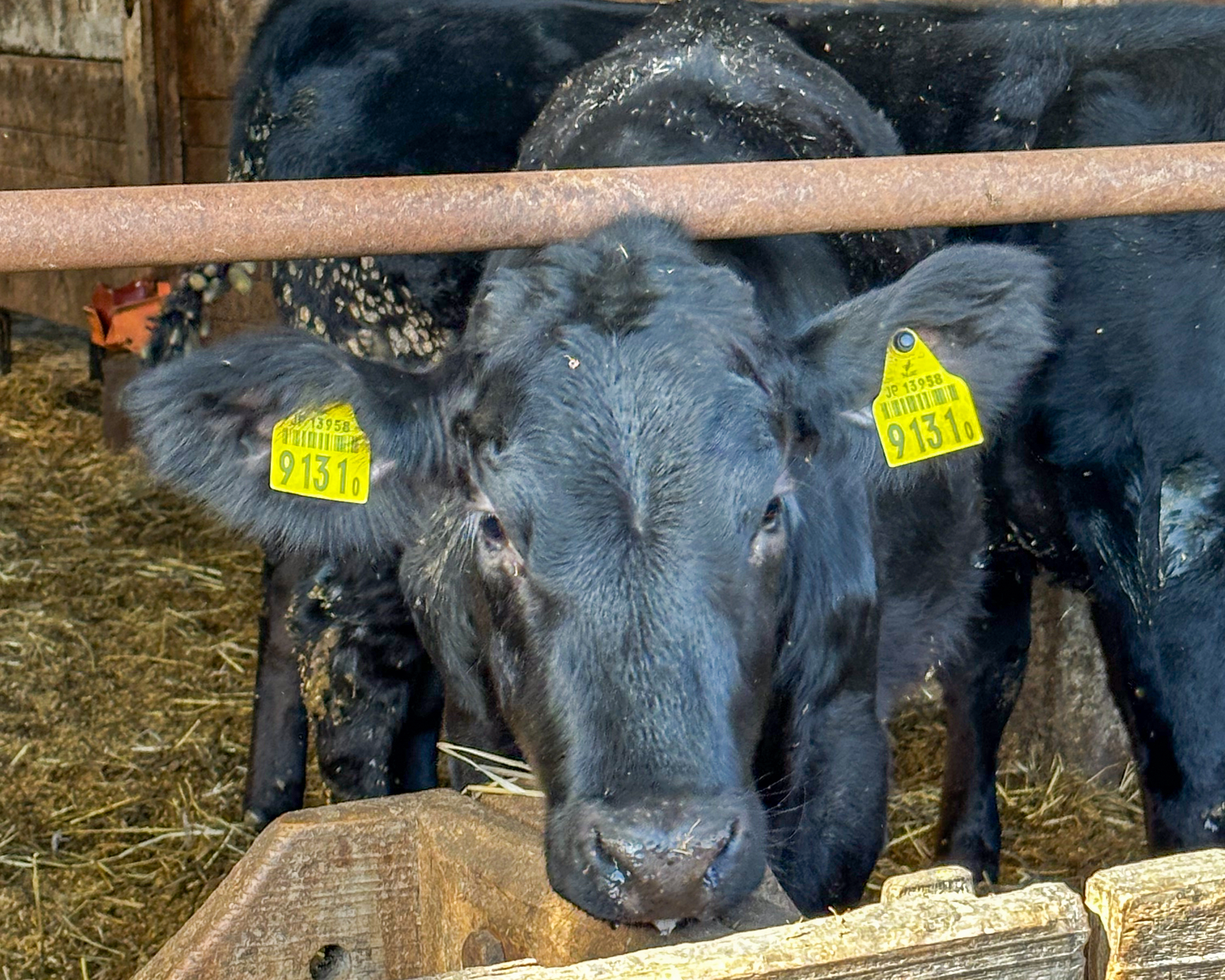 福島県安達郡大玉村 サイクリング
