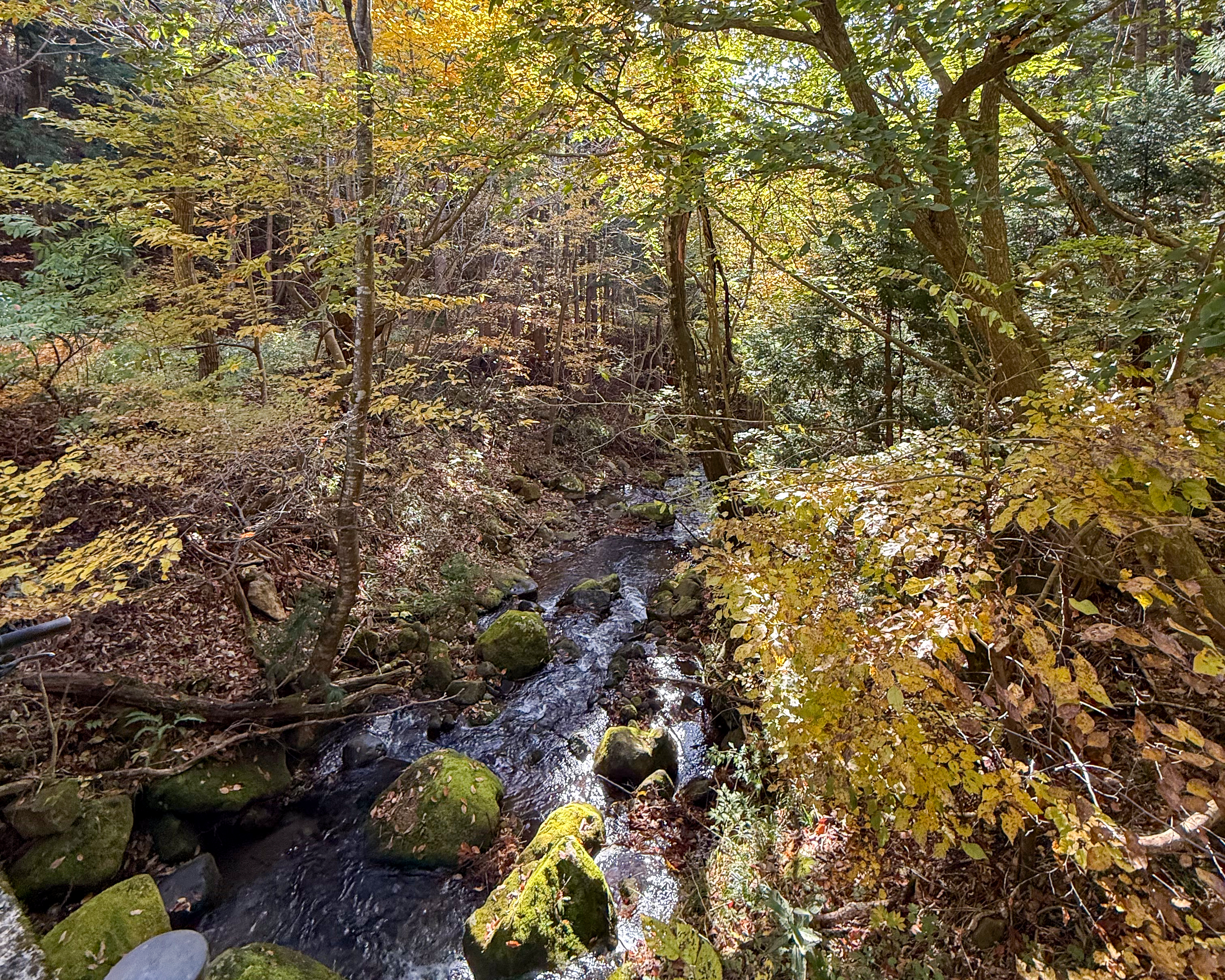 福島県安達郡大玉村 サイクリング