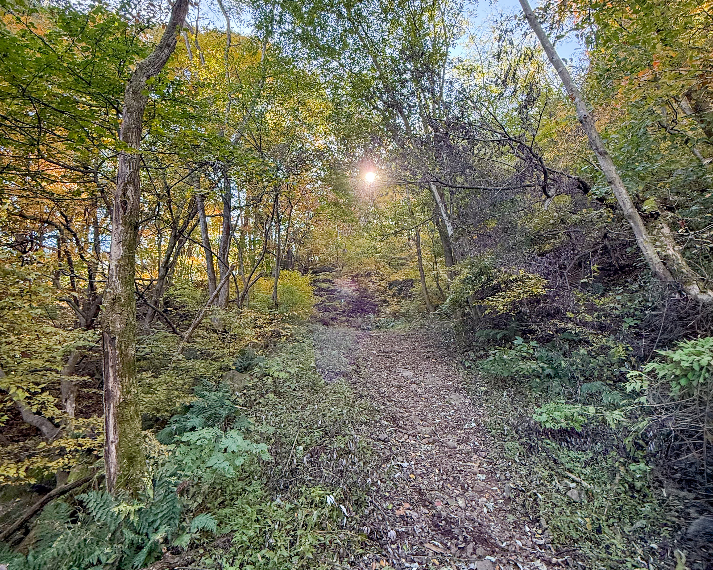 福島県安達郡大玉村 大名倉山 ハイキング