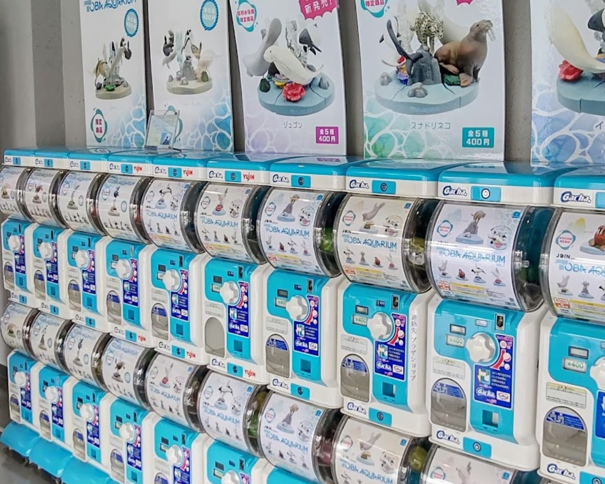 鳥羽水族館 カプセルトイ