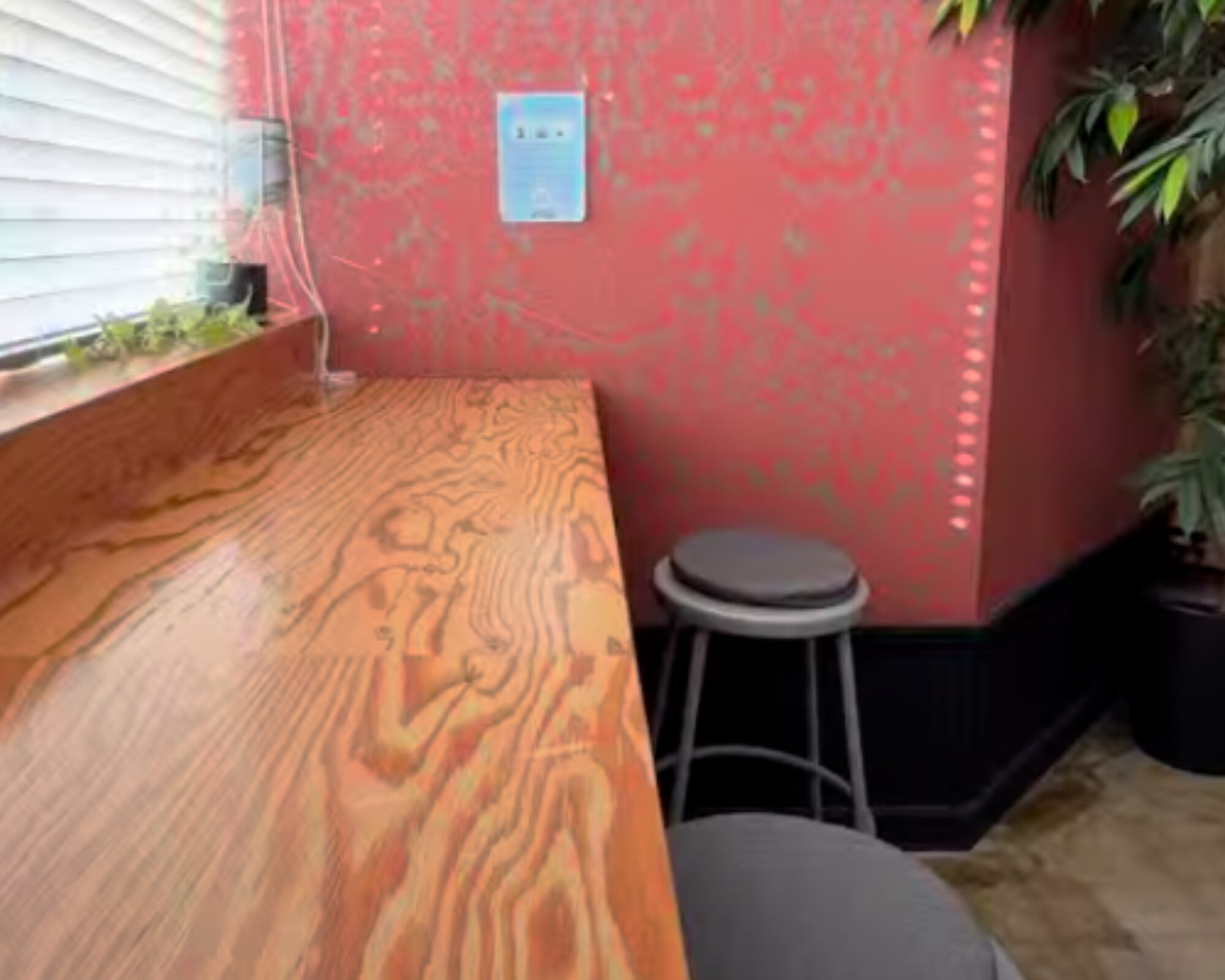 フライングソーサー コーヒーハウス