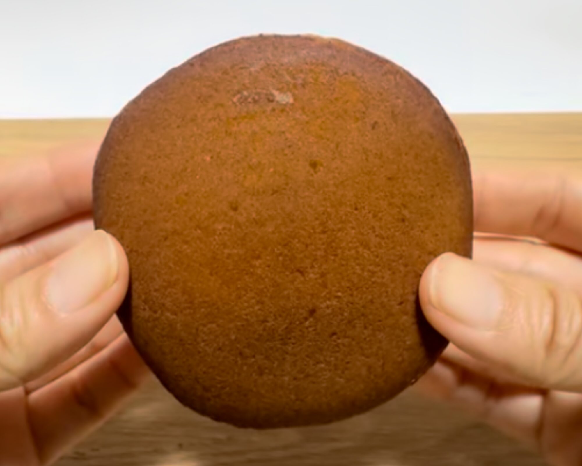 和菓子 増廼家 十二月田きつねのどら焼き