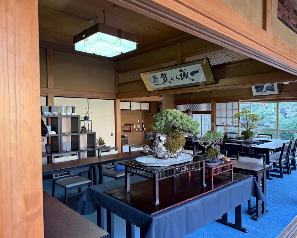 BONSAI CAFE