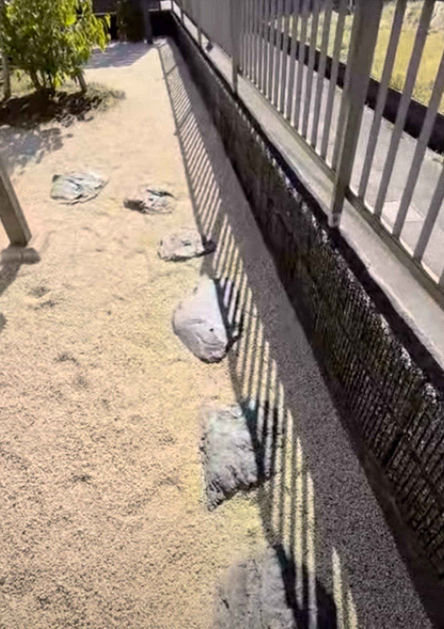 はせがわ珈琲焙煎所