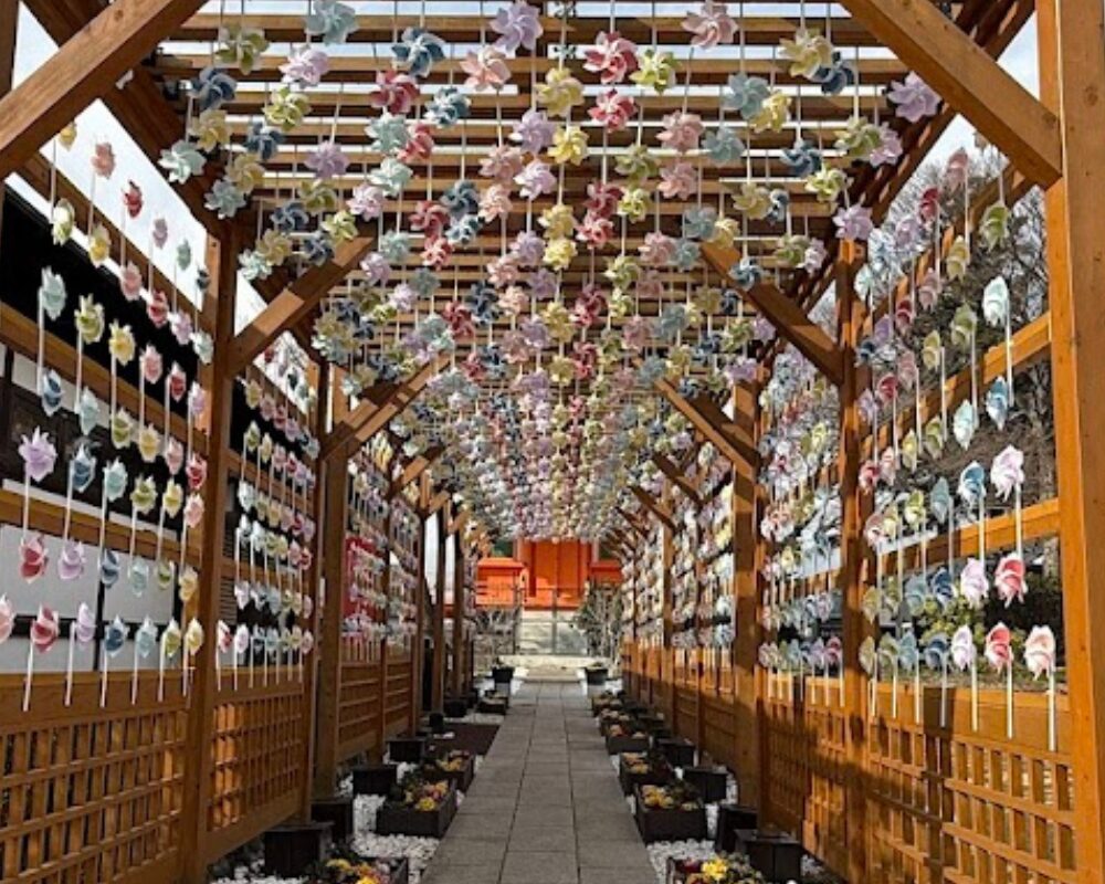 青葉園 かざぐるま