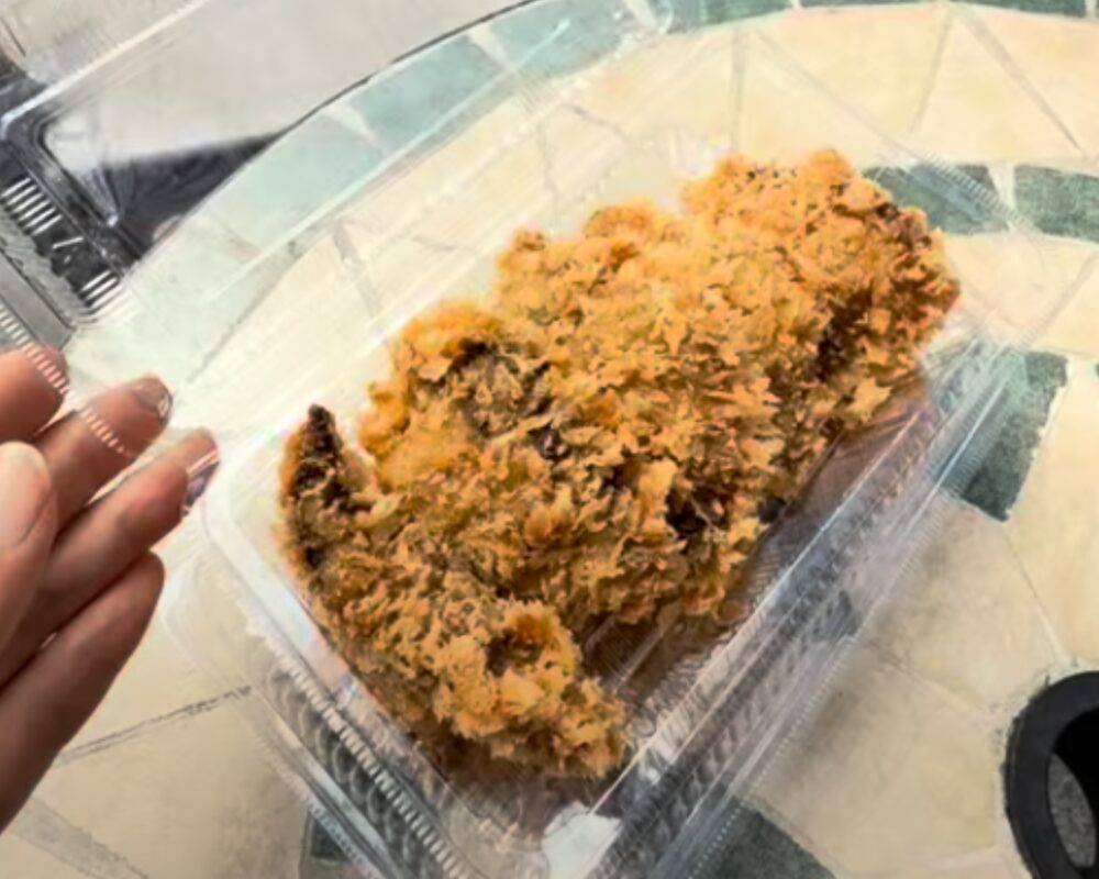 酒蔵力 工場直売所 揚げ物 レバカツ