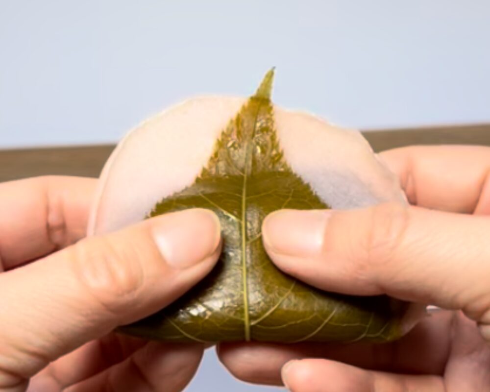 和生菓子 細井 桜もち 季節限定