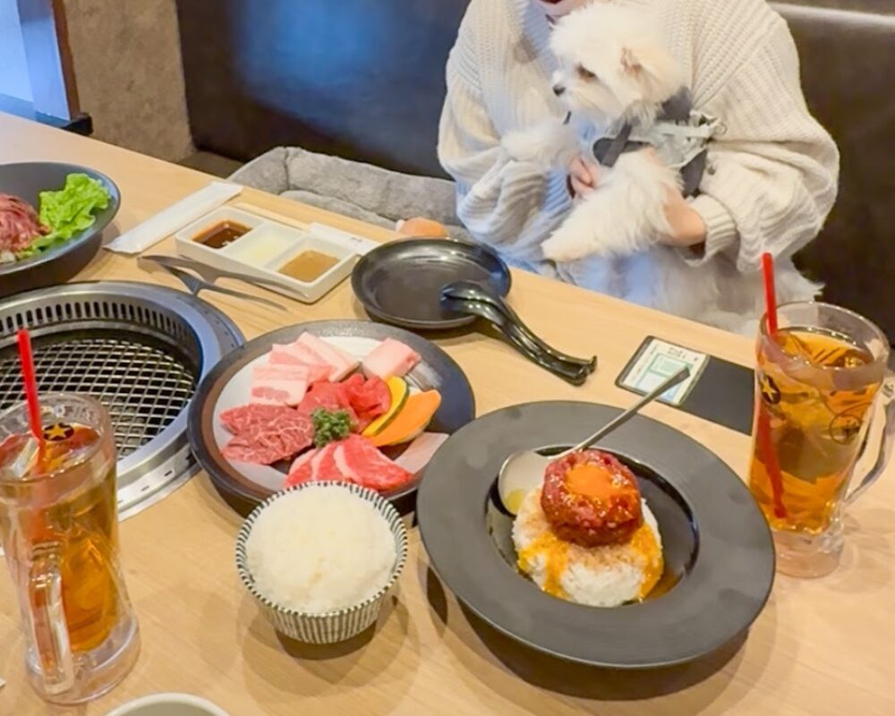 焼肉しょうざえもん 東松山店 ペット犬連れ