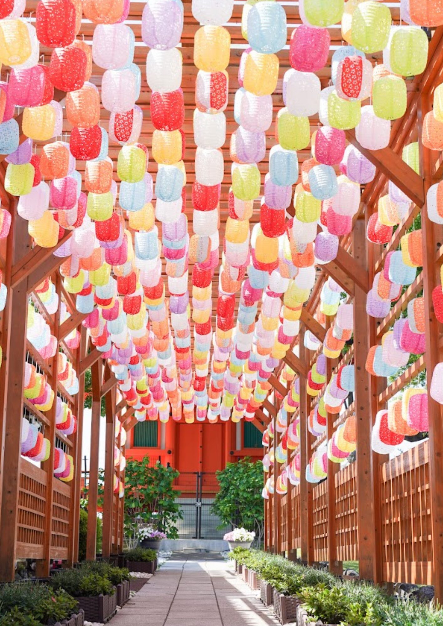 青葉園 ランタン廻廊