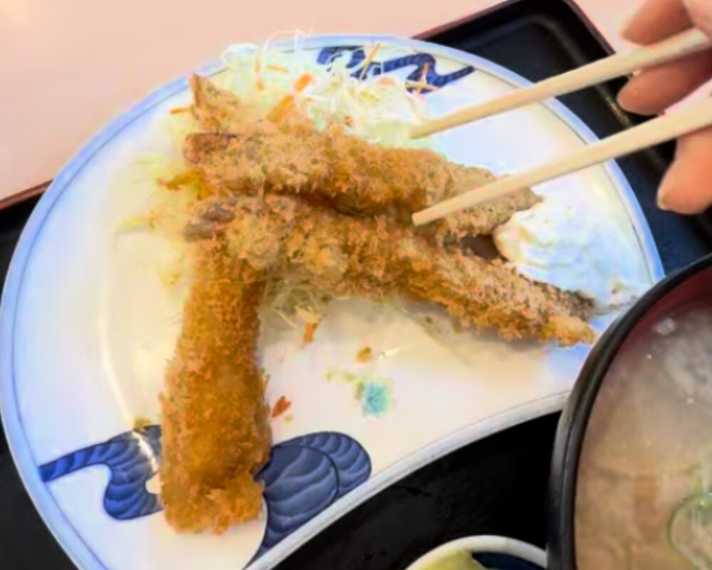 わがまま丼の店 花いち デラックスわがまま丼 海老フライ