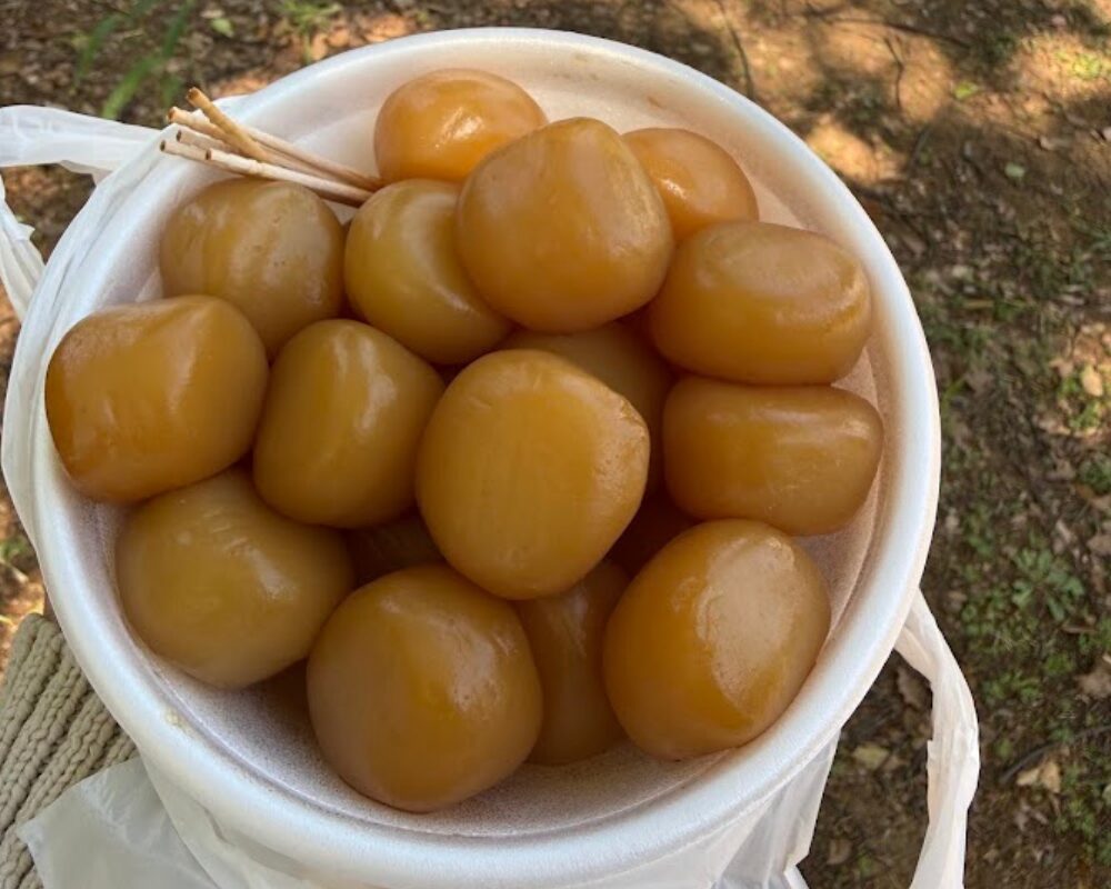 与野公園 ばらまつり 2026 玉こんにゃく
