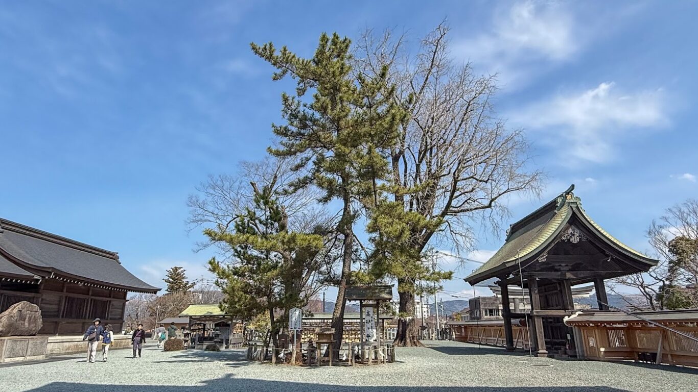阿蘇神社 高砂の松