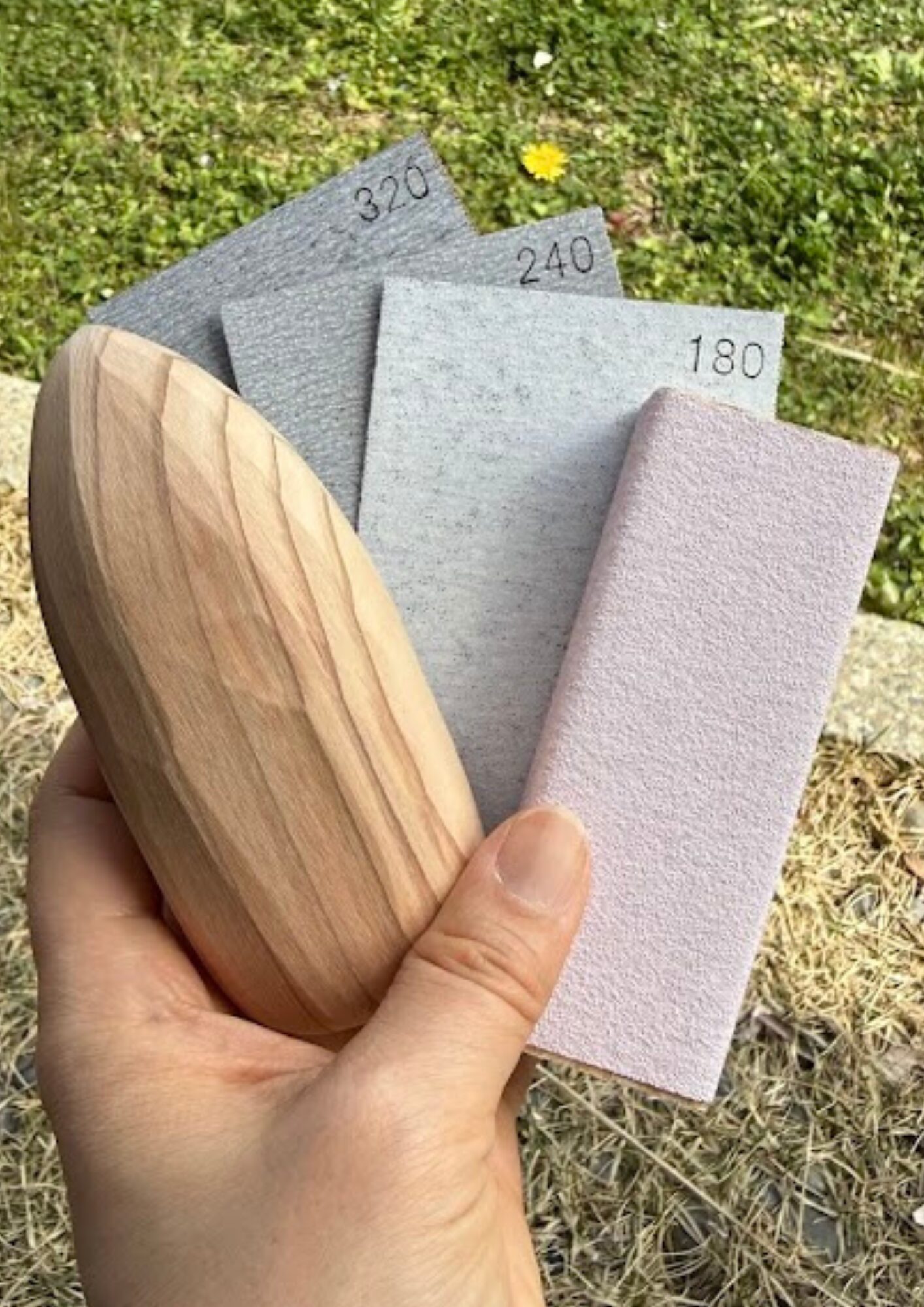草原学習館 撫で杉体験