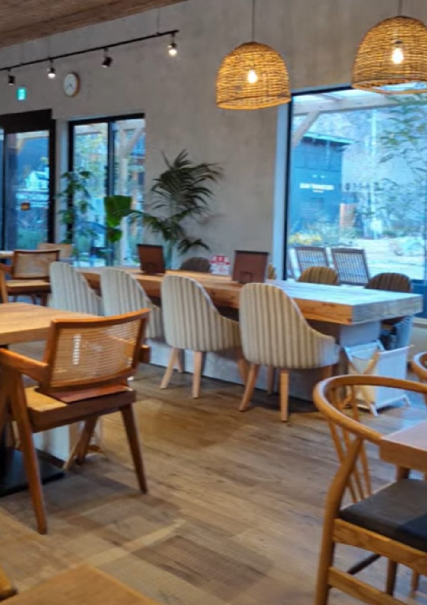 SYCAMORE CAFE TERRACE シカモアカフェテラス