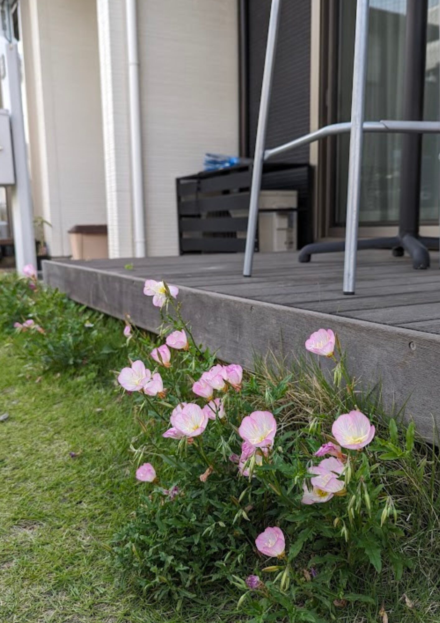 小さな珈琲屋さん ことこと