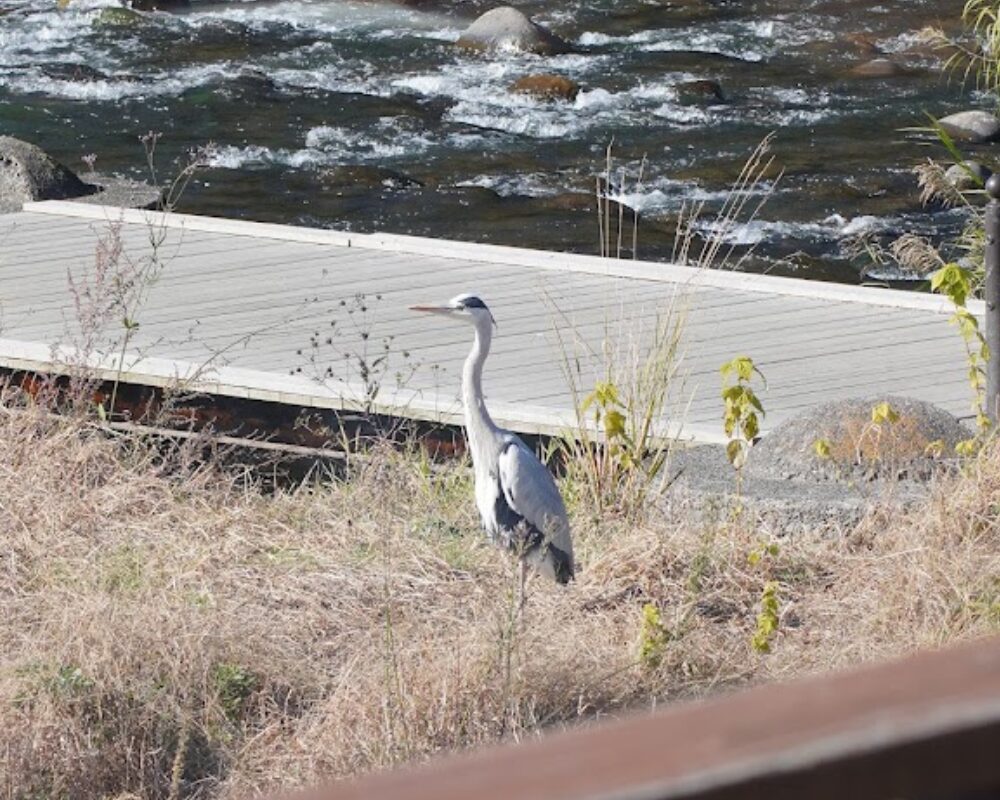 うなぎ鷺邸 Rotir