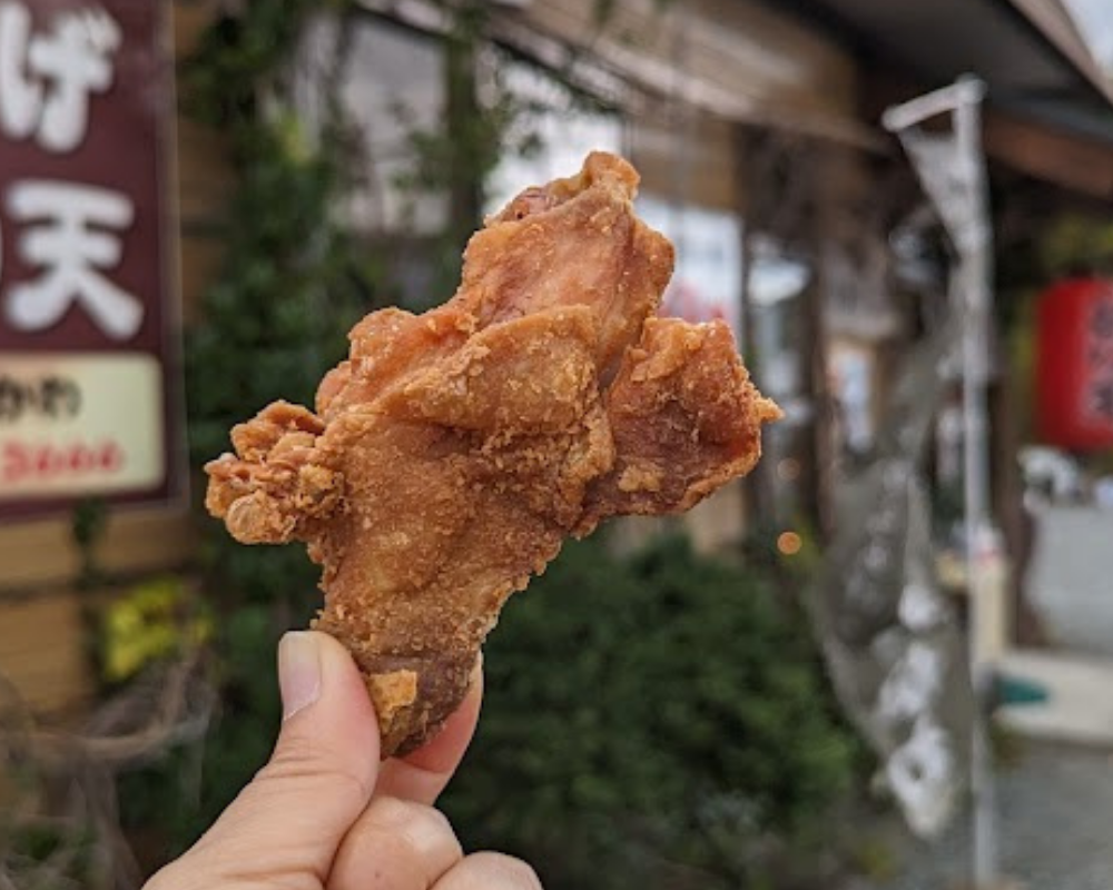 からあげきよかわ ぶつあげ