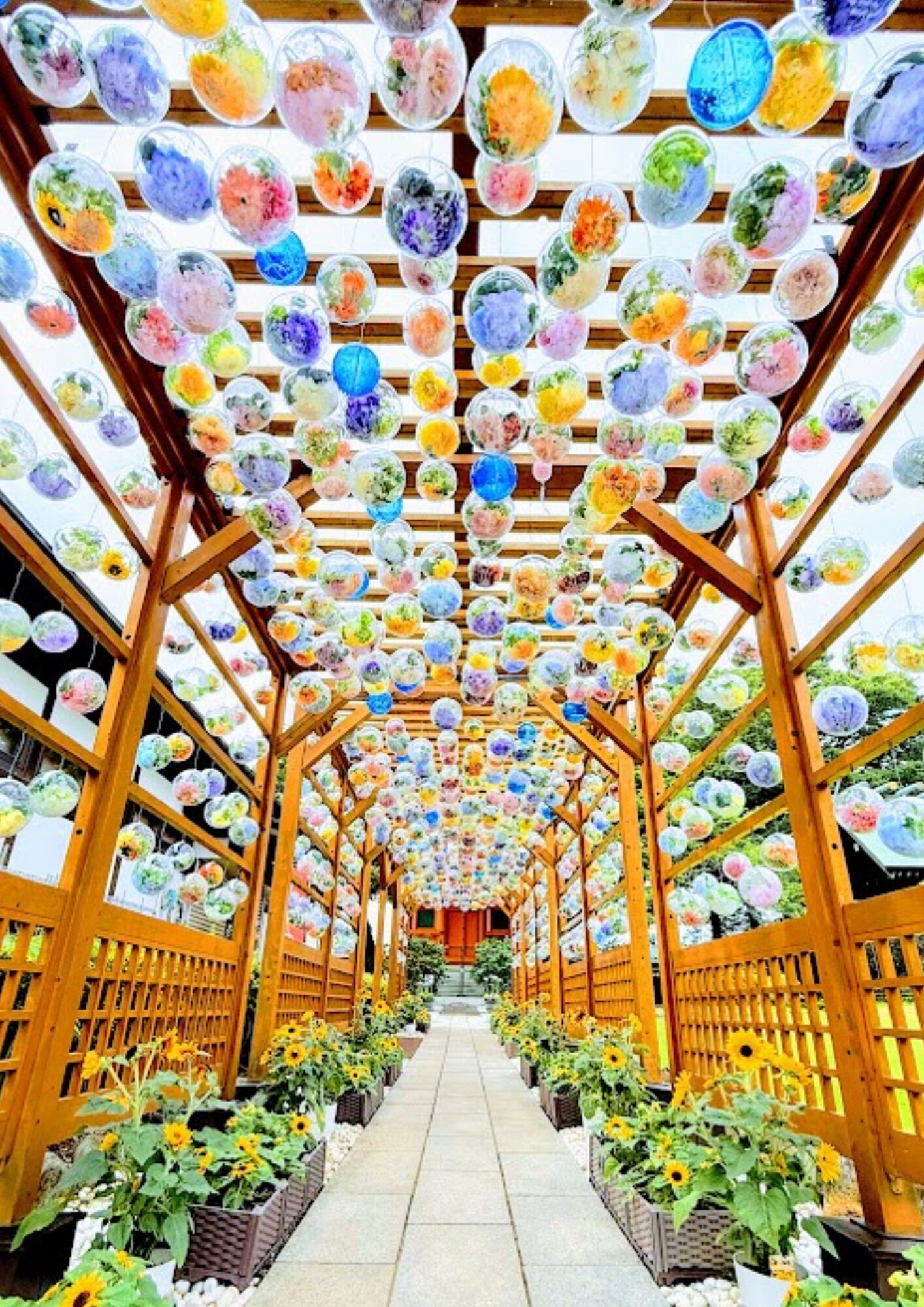 青葉園 クリアボール廻廊