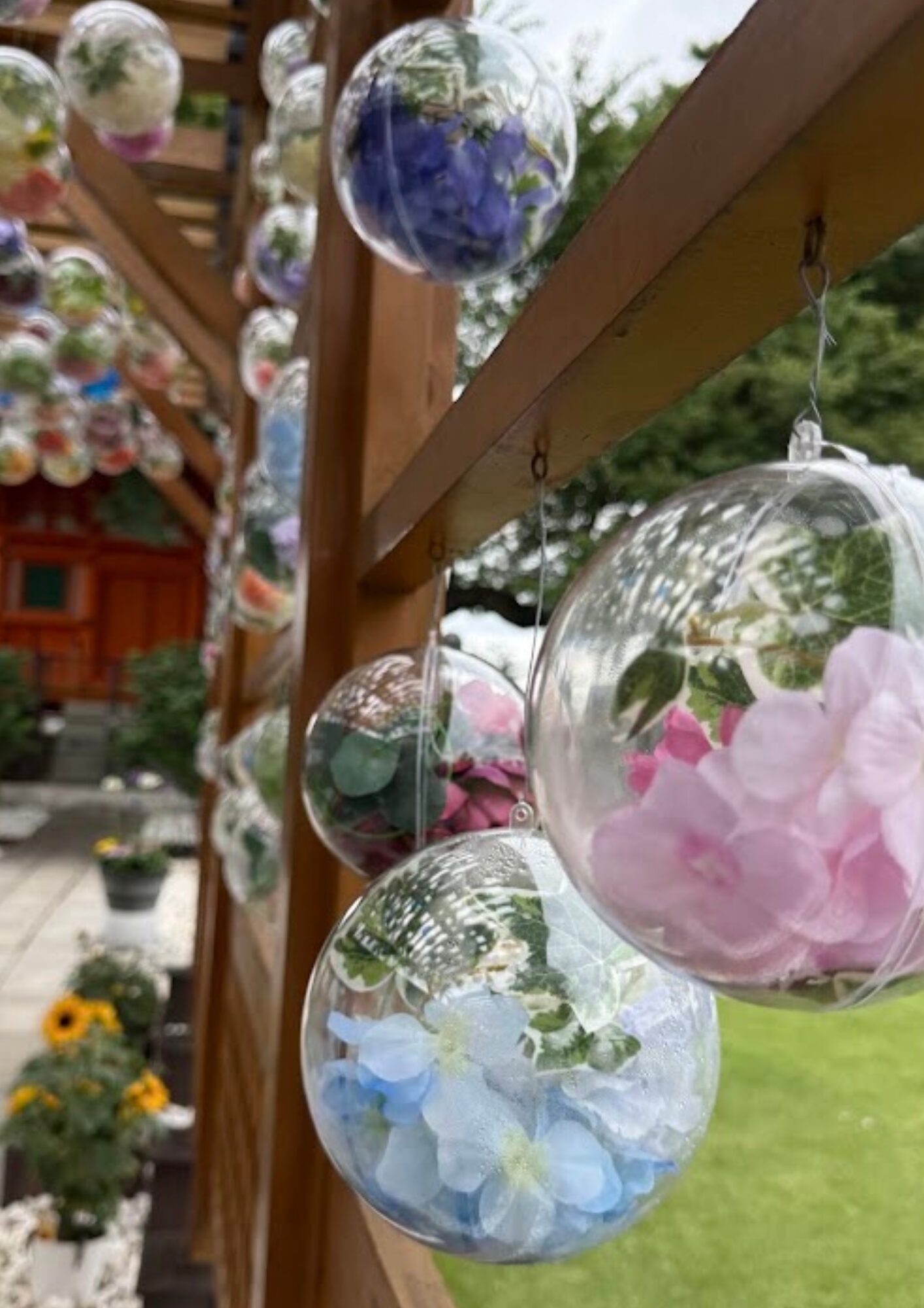 青葉園 クリアボール廻廊