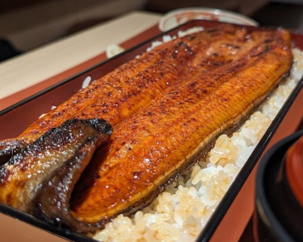 清流うなぎ 月島 東大赤門前店 極うな重定食