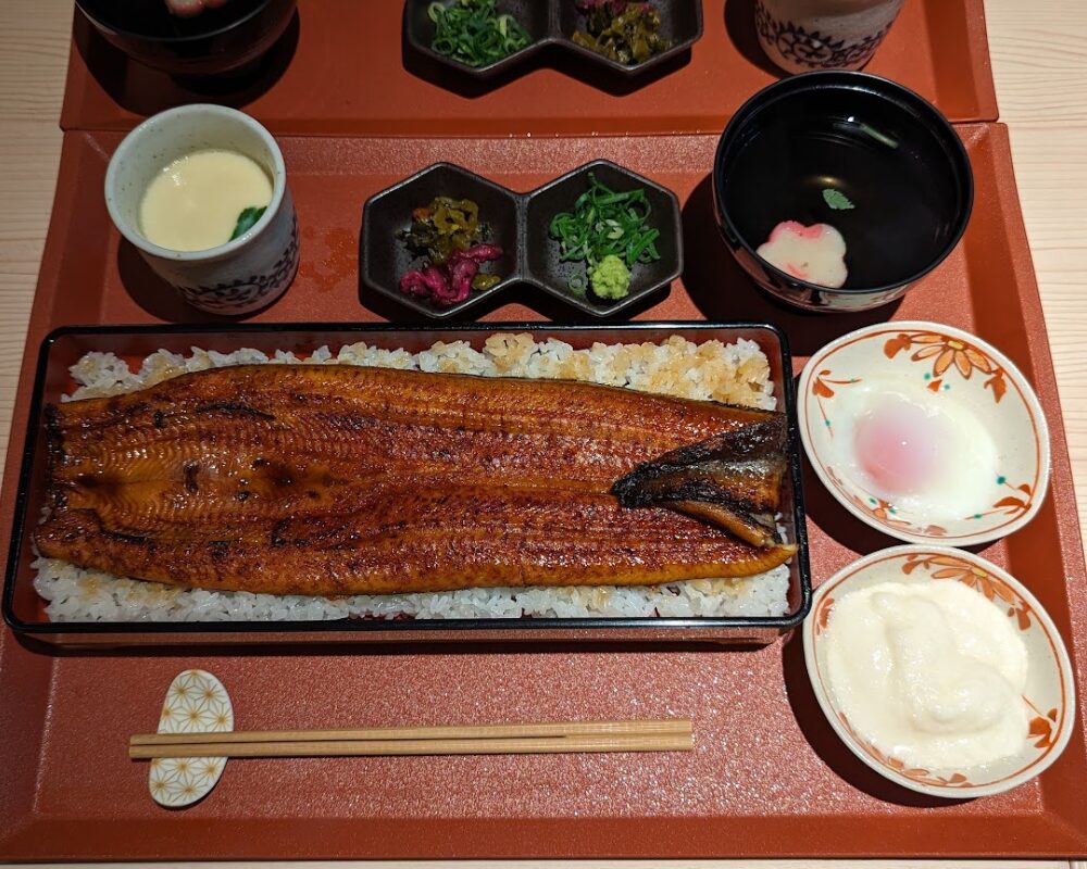 清流うなぎ 月島 東大赤門前店 極うな重定食