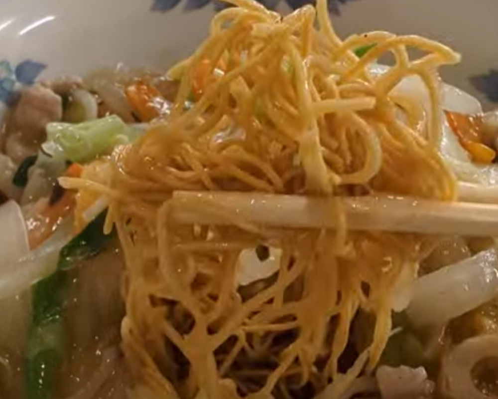 寶屋本店 皿うどん