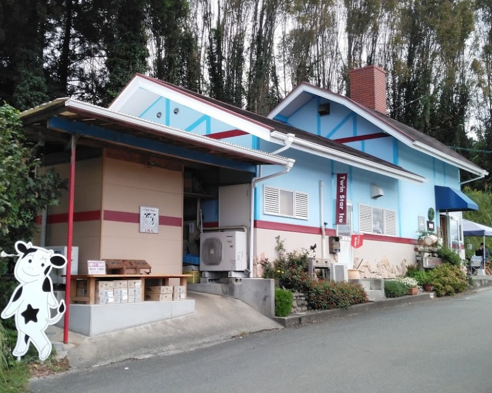ついんスター