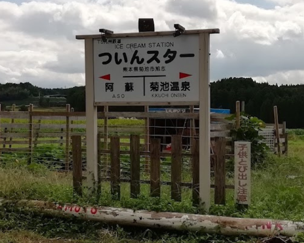 ついんスター TS九州鉄道